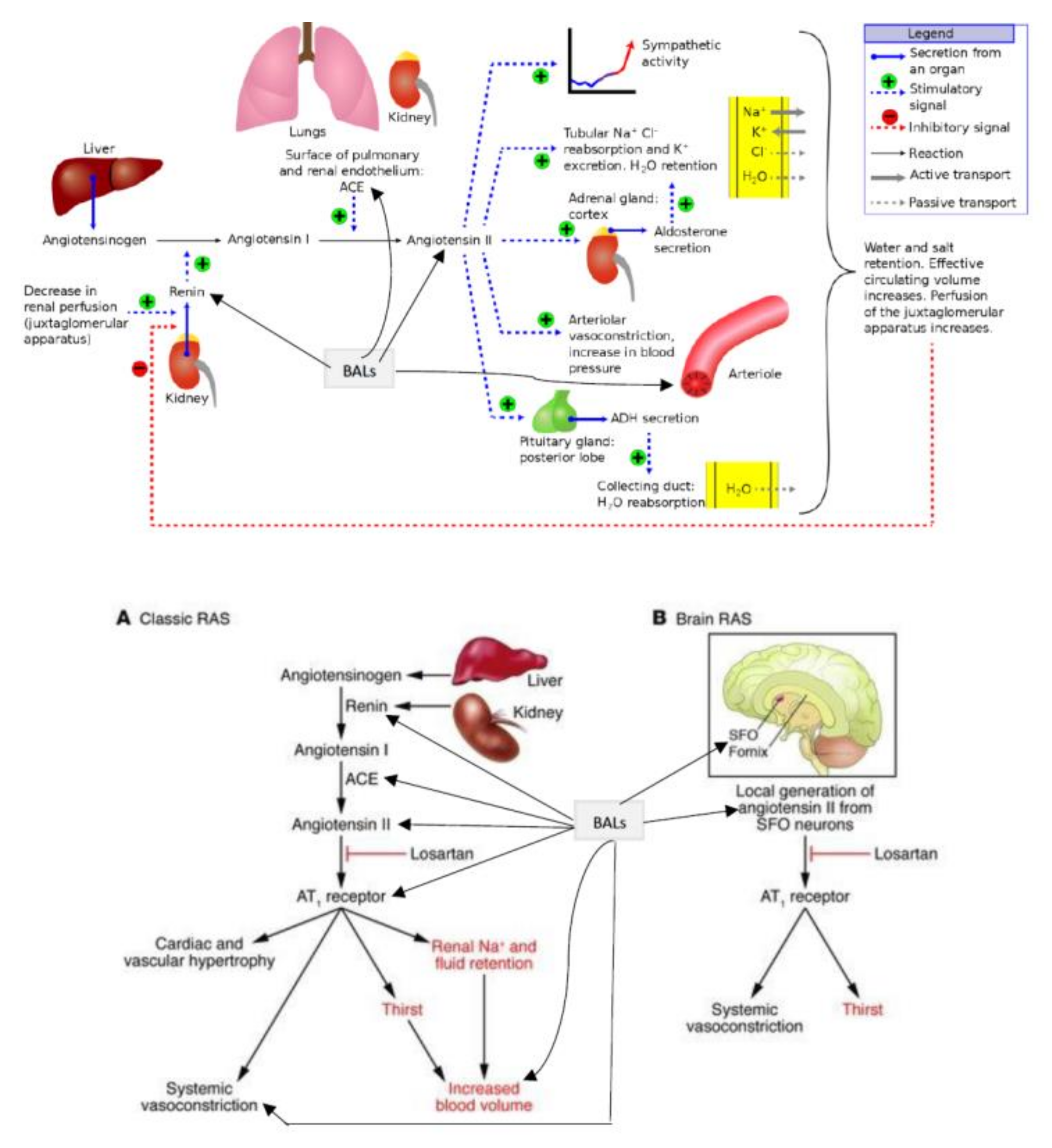 Nutrients 14 00749 g002