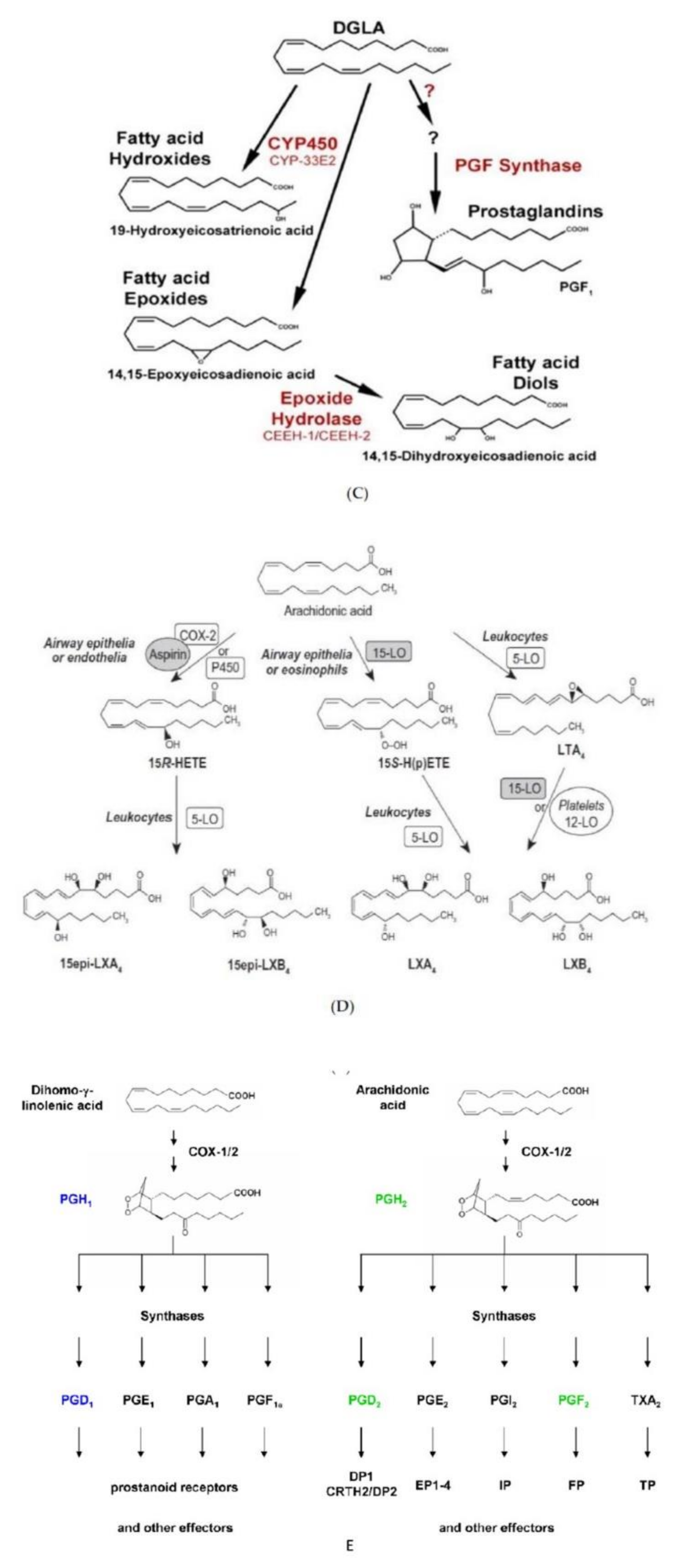 Nutrients 14 00749 g005b
