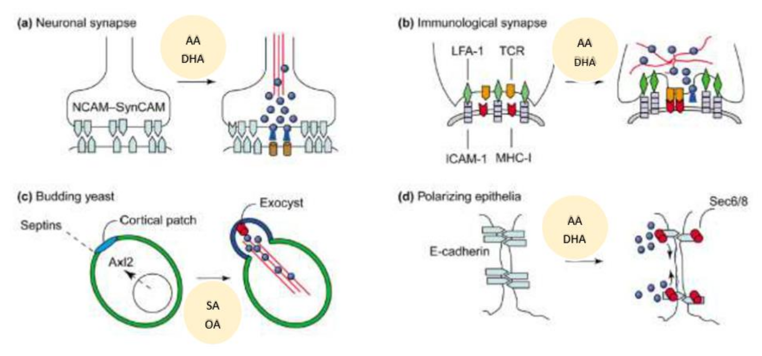 Nutrients 14 00749 g009