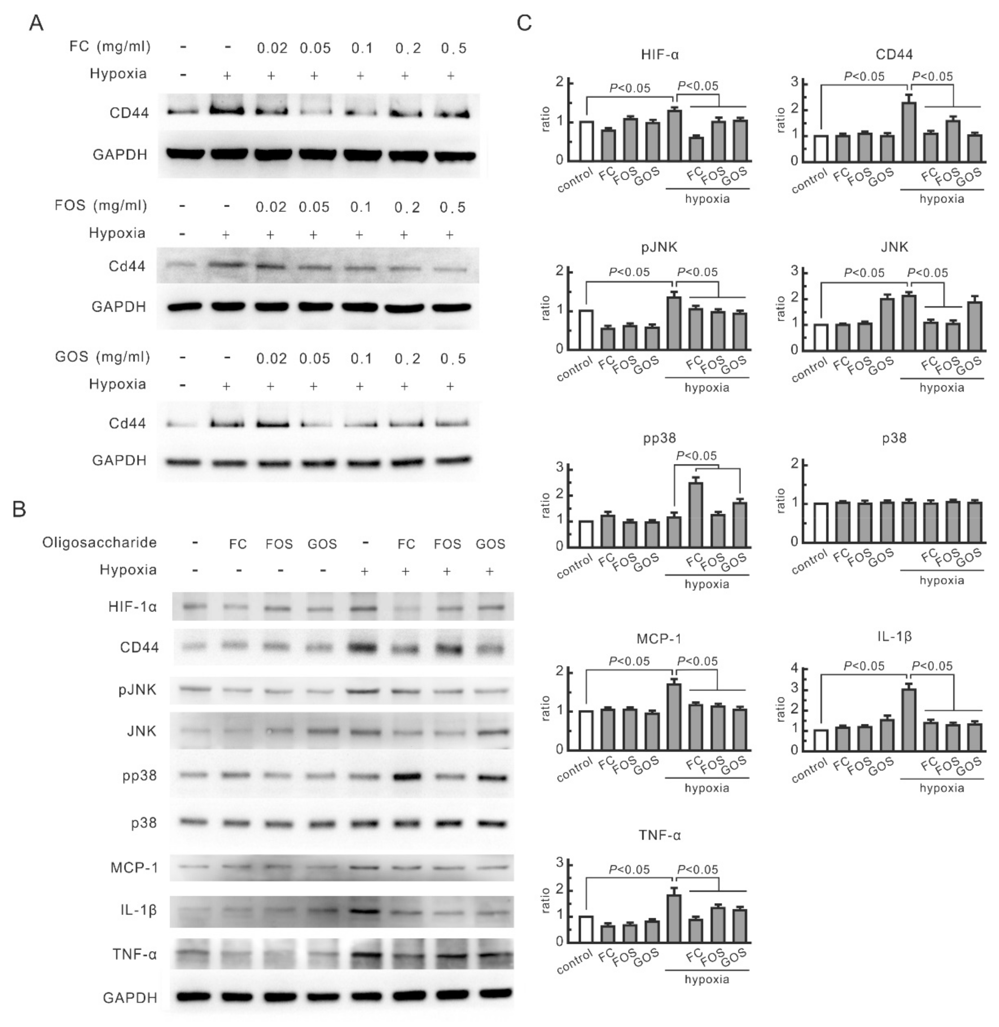 Nutrients 14 00760 g001 Nutrients 14 00760 g001