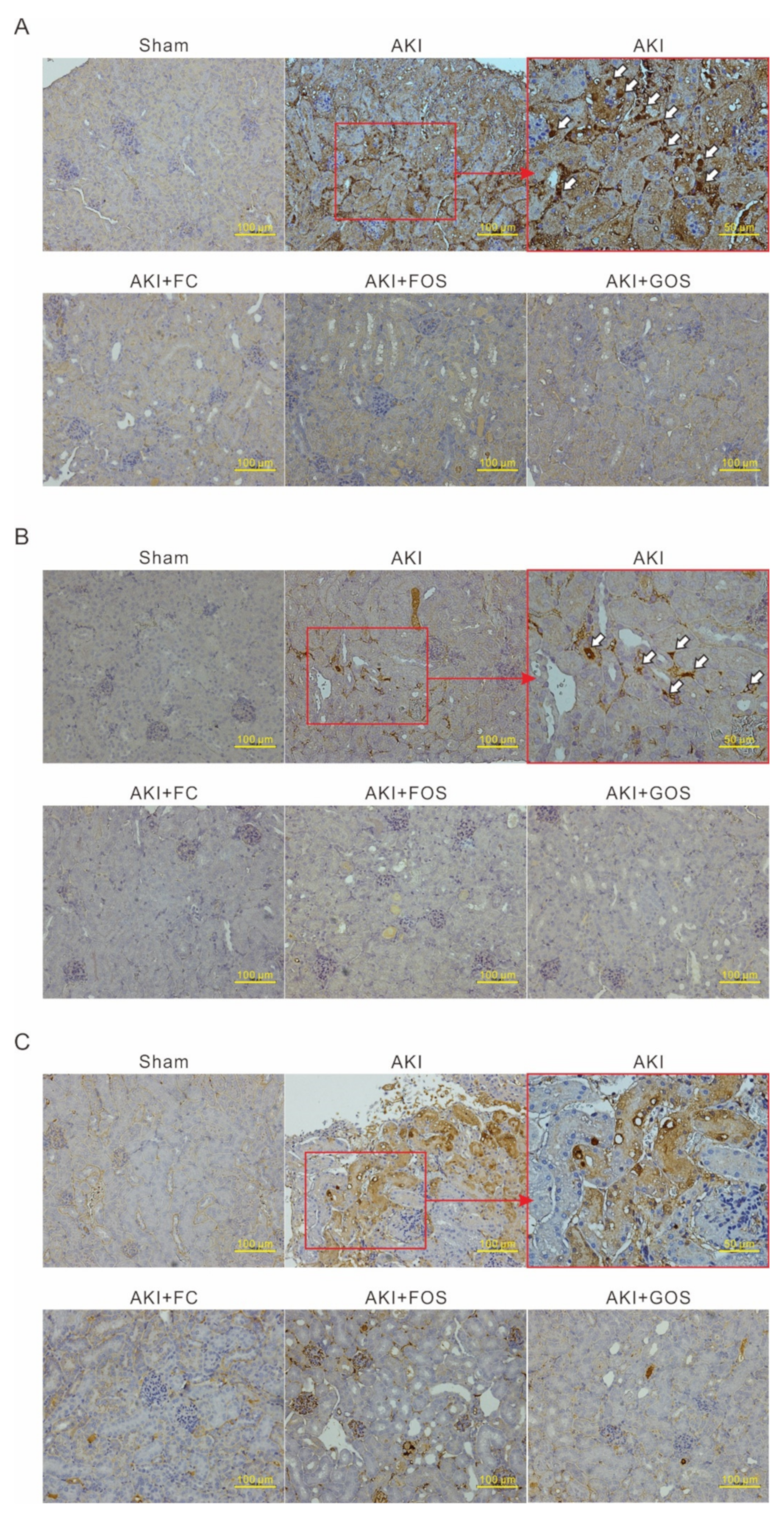 Nutrients 14 00760 g006 Nutrients 14 00760 g006
