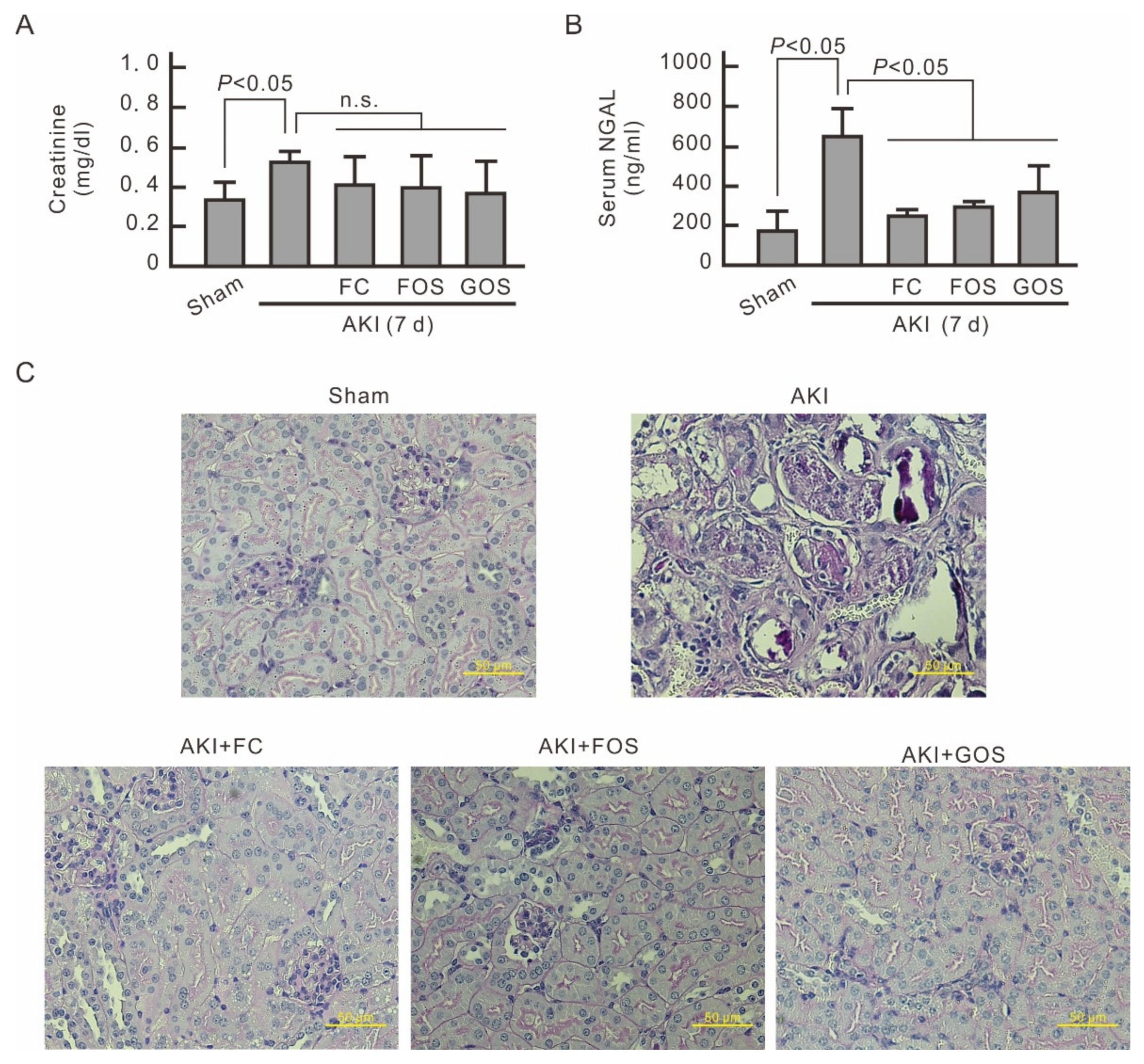 Nutrients 14 00760 g007 Nutrients 14 00760 g007