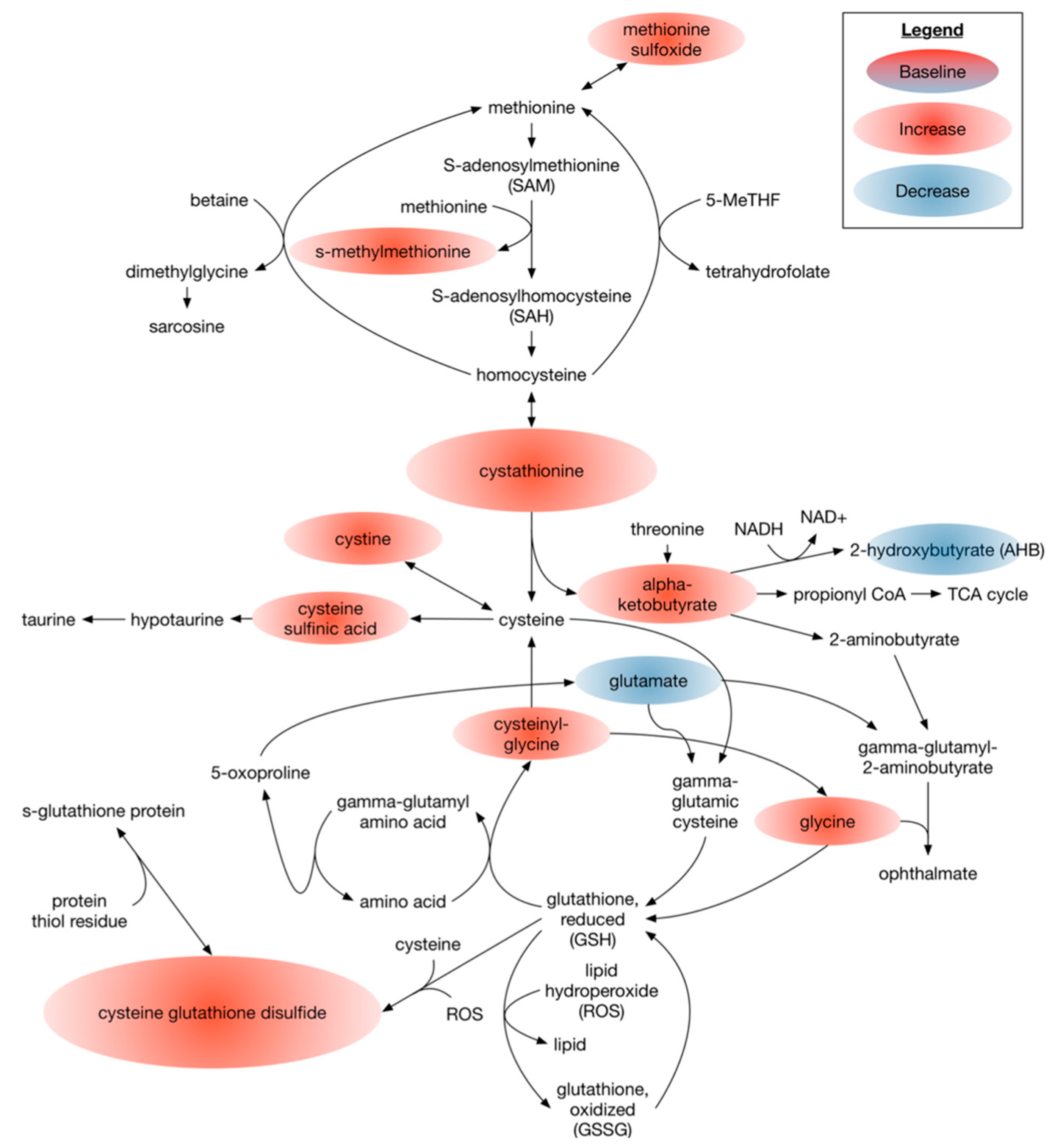 Nutrients 14 00761 g003