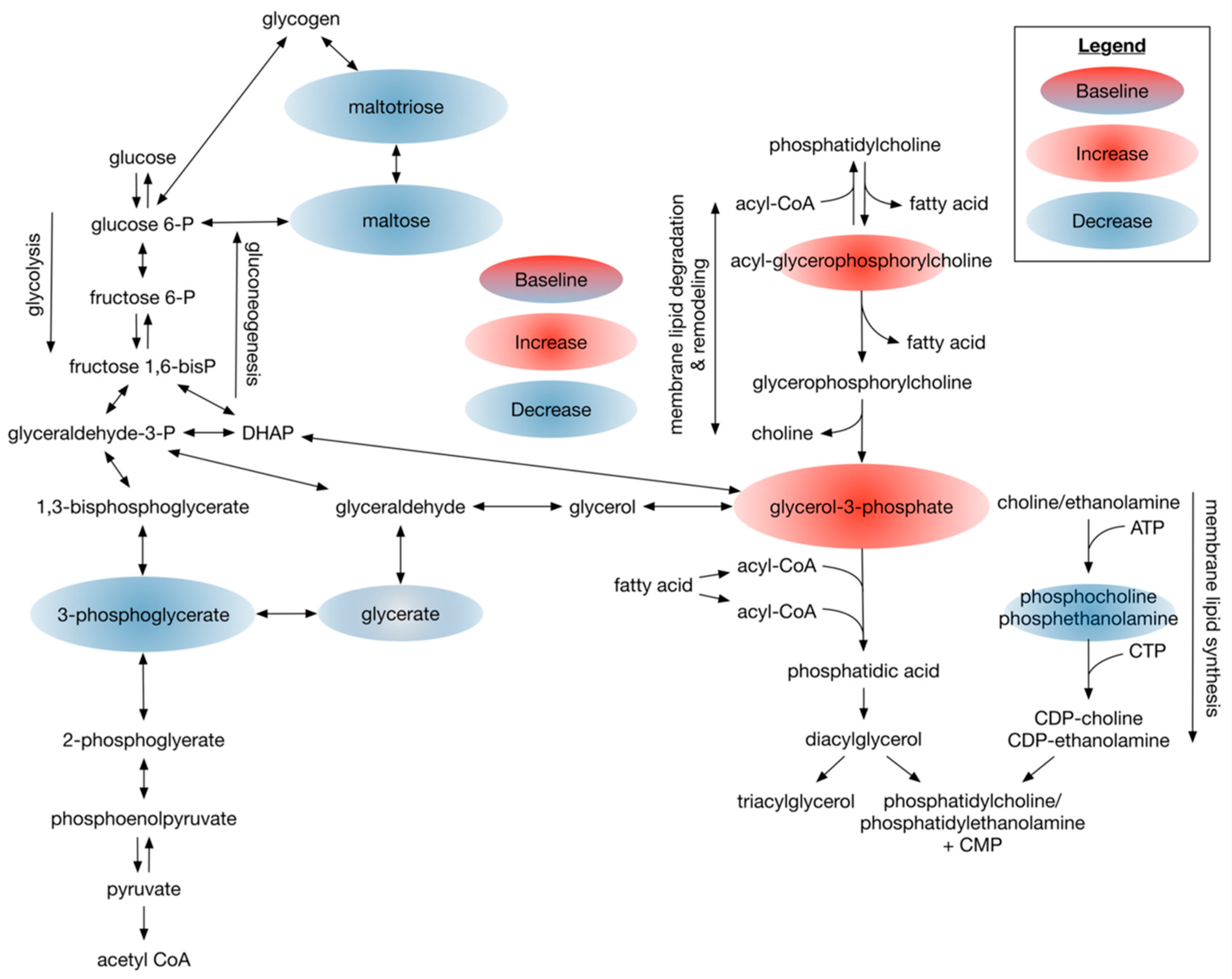 Nutrients 14 00761 g004