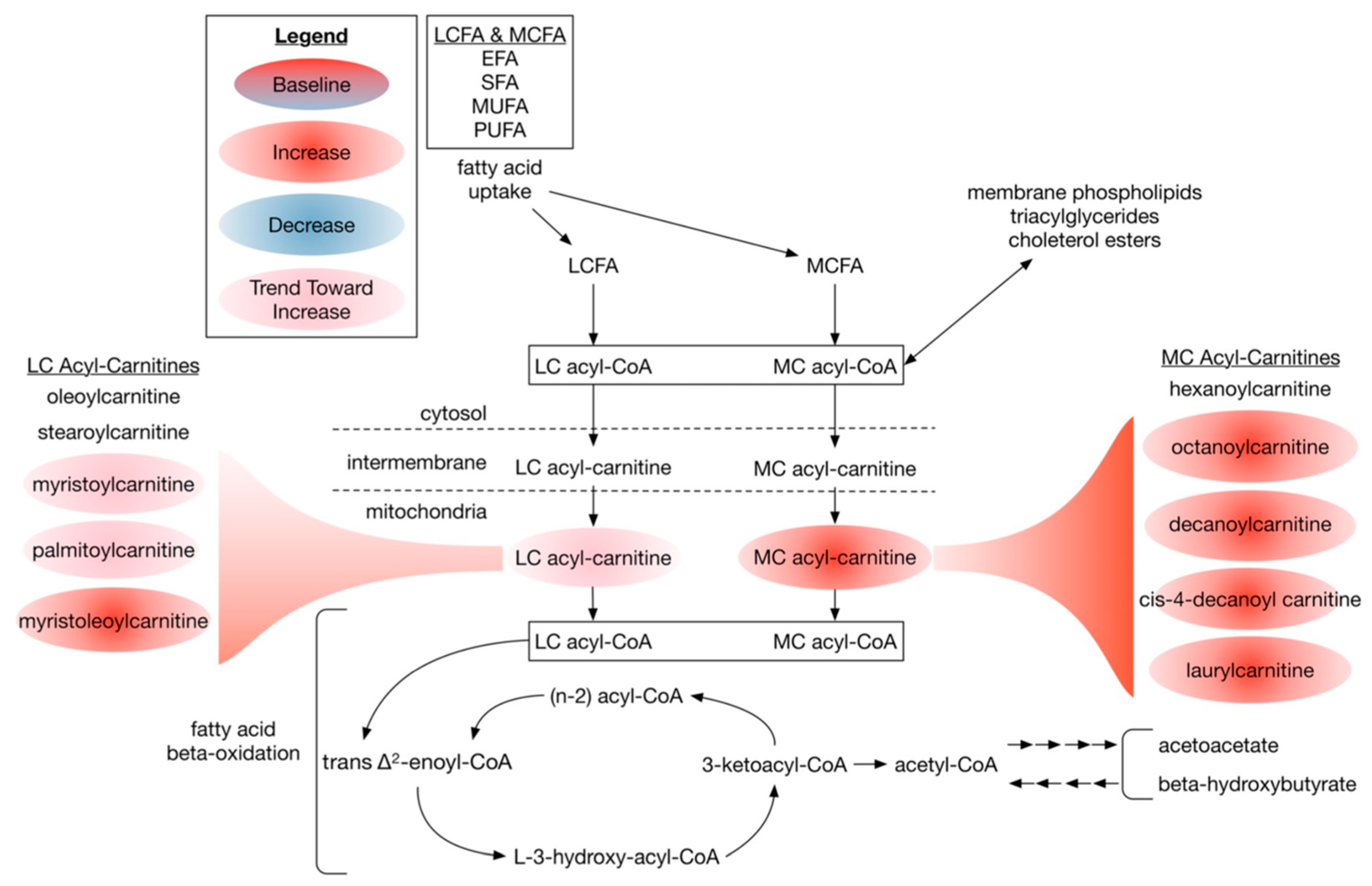 Nutrients 14 00761 g005