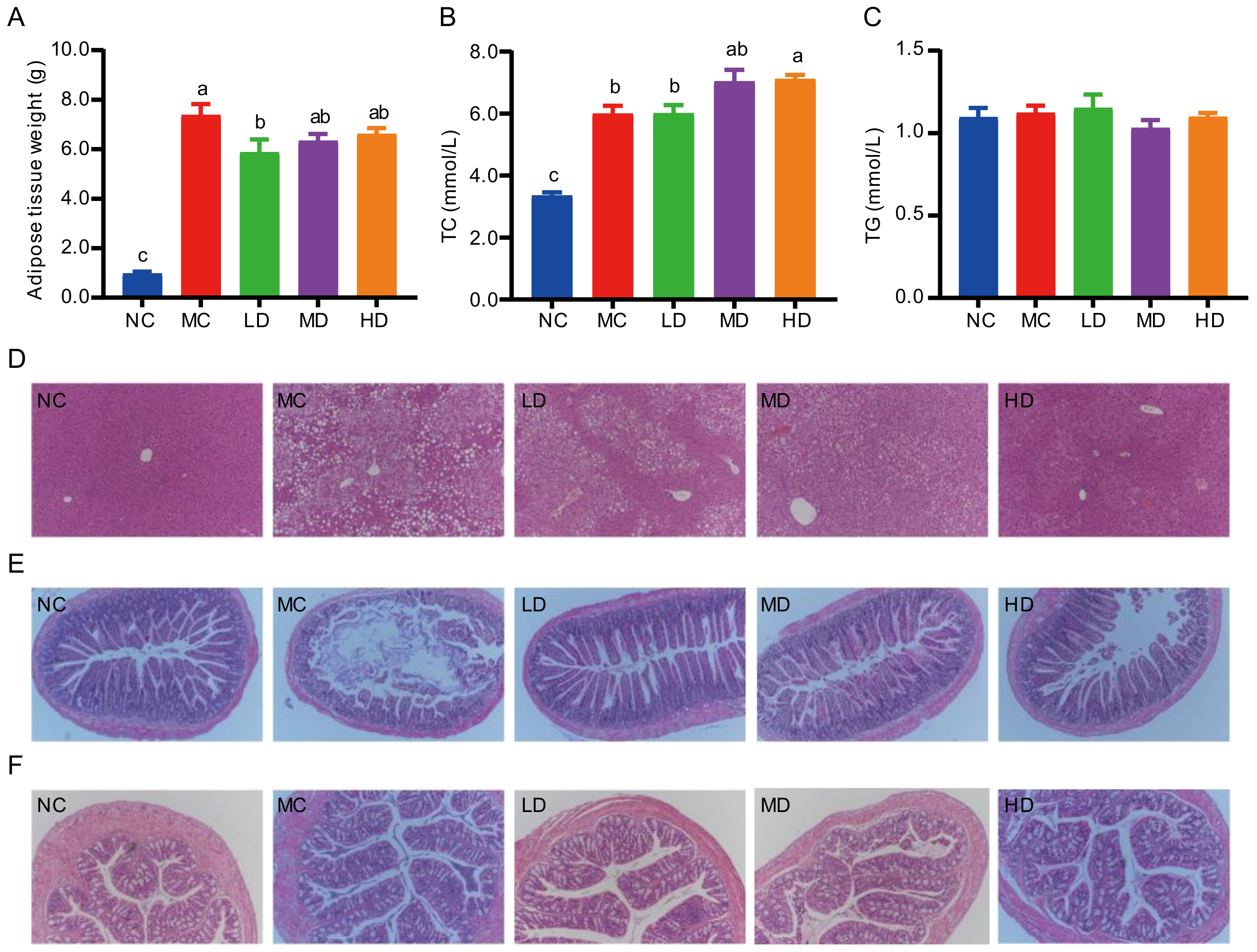 Nutrients 14 00762 g002
