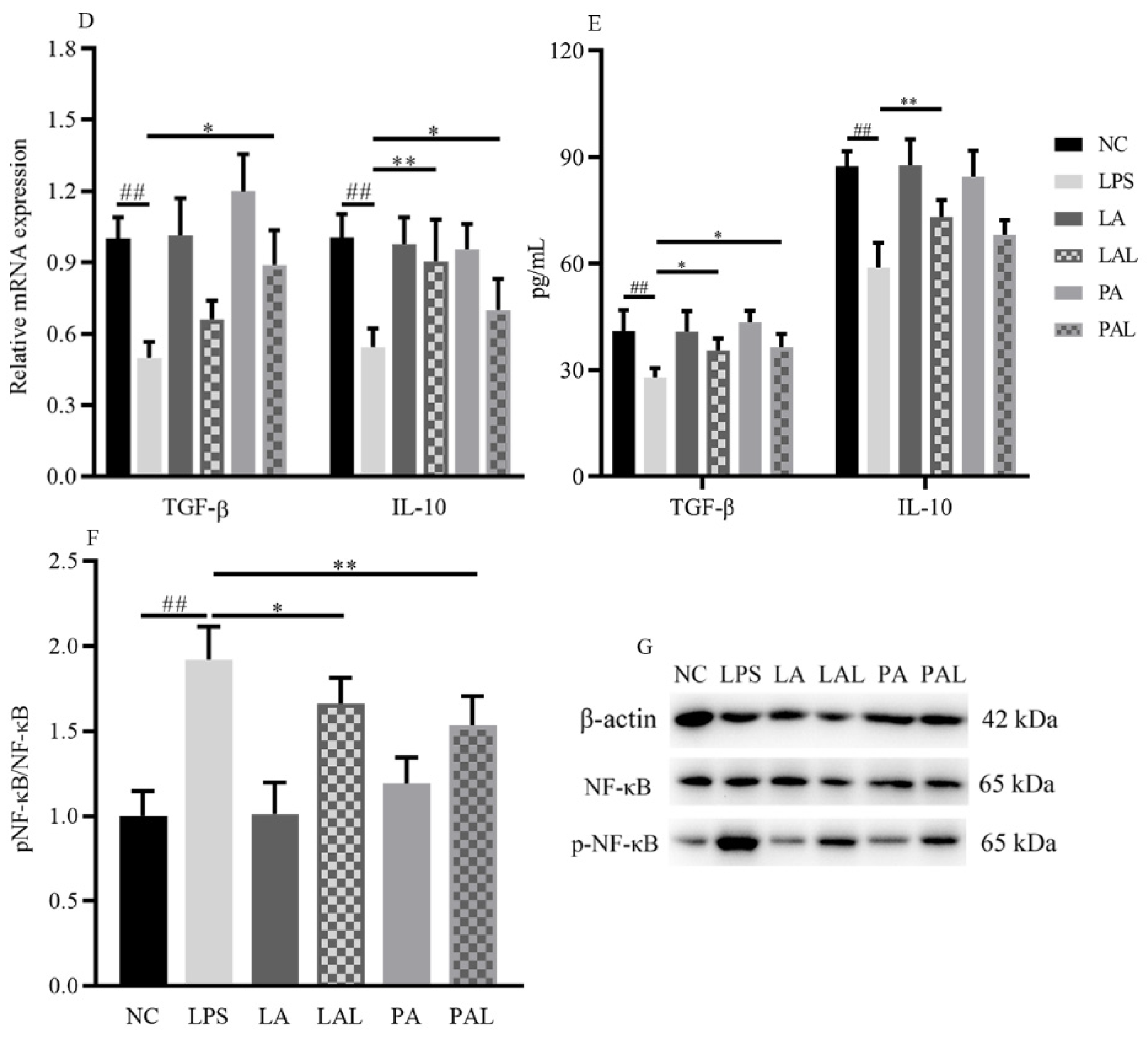 Nutrients 14 00764 g001b Nutrients 14 00764 g001b