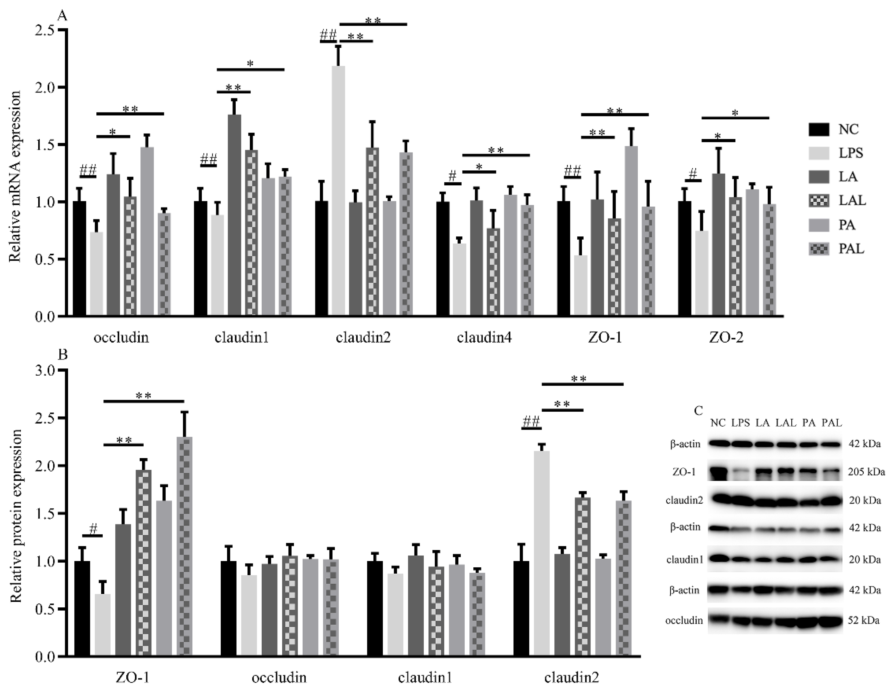 Nutrients 14 00764 g003 Nutrients 14 00764 g003