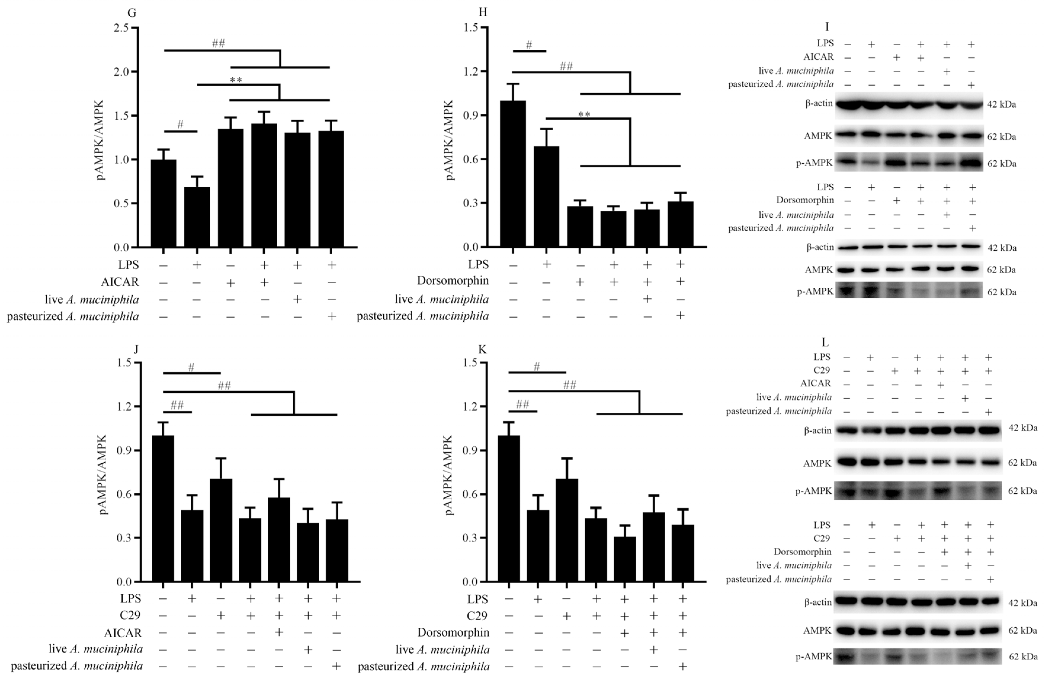 Nutrients 14 00764 g004b Nutrients 14 00764 g004b