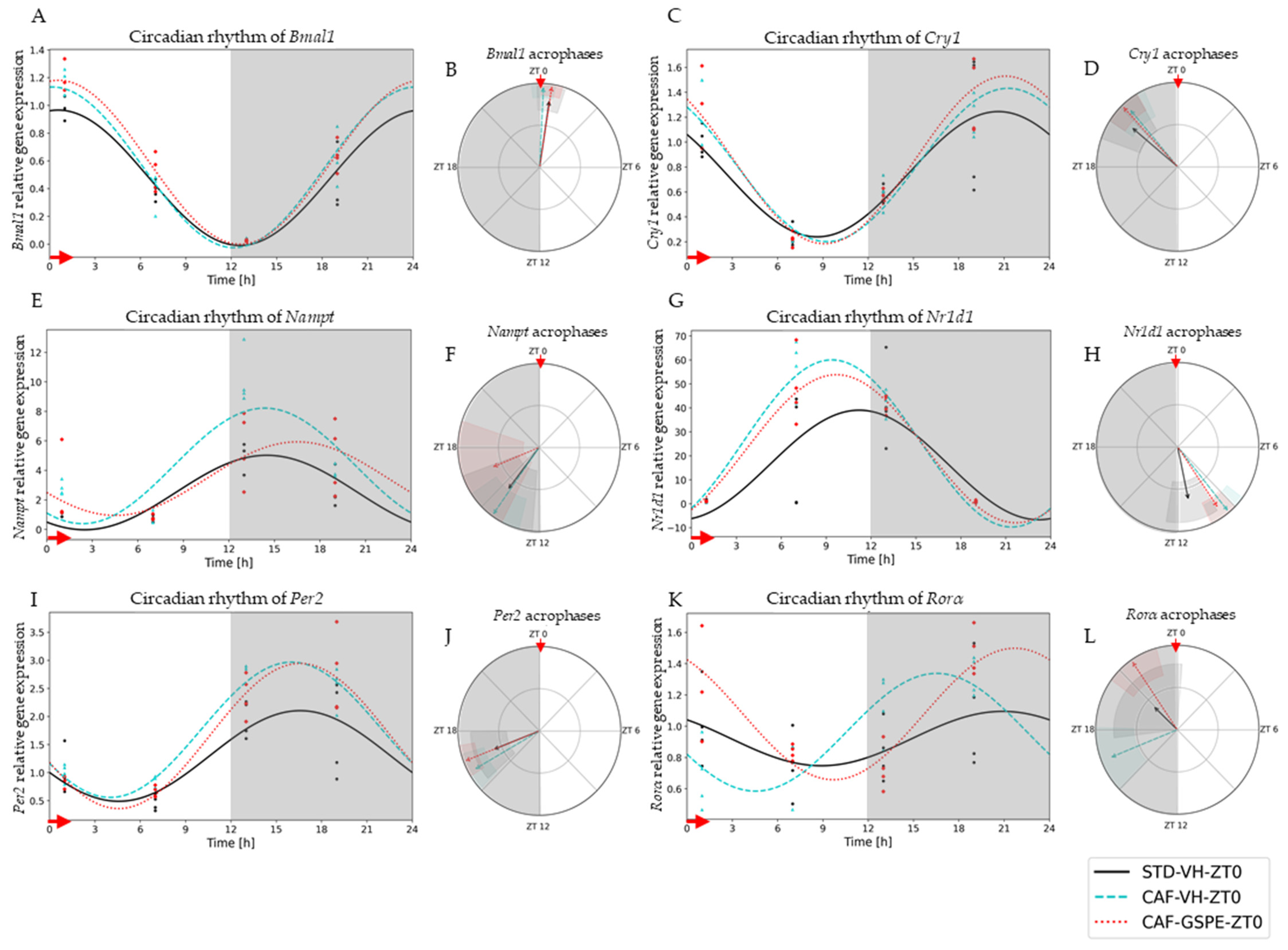 Nutrients 14 00774 g002