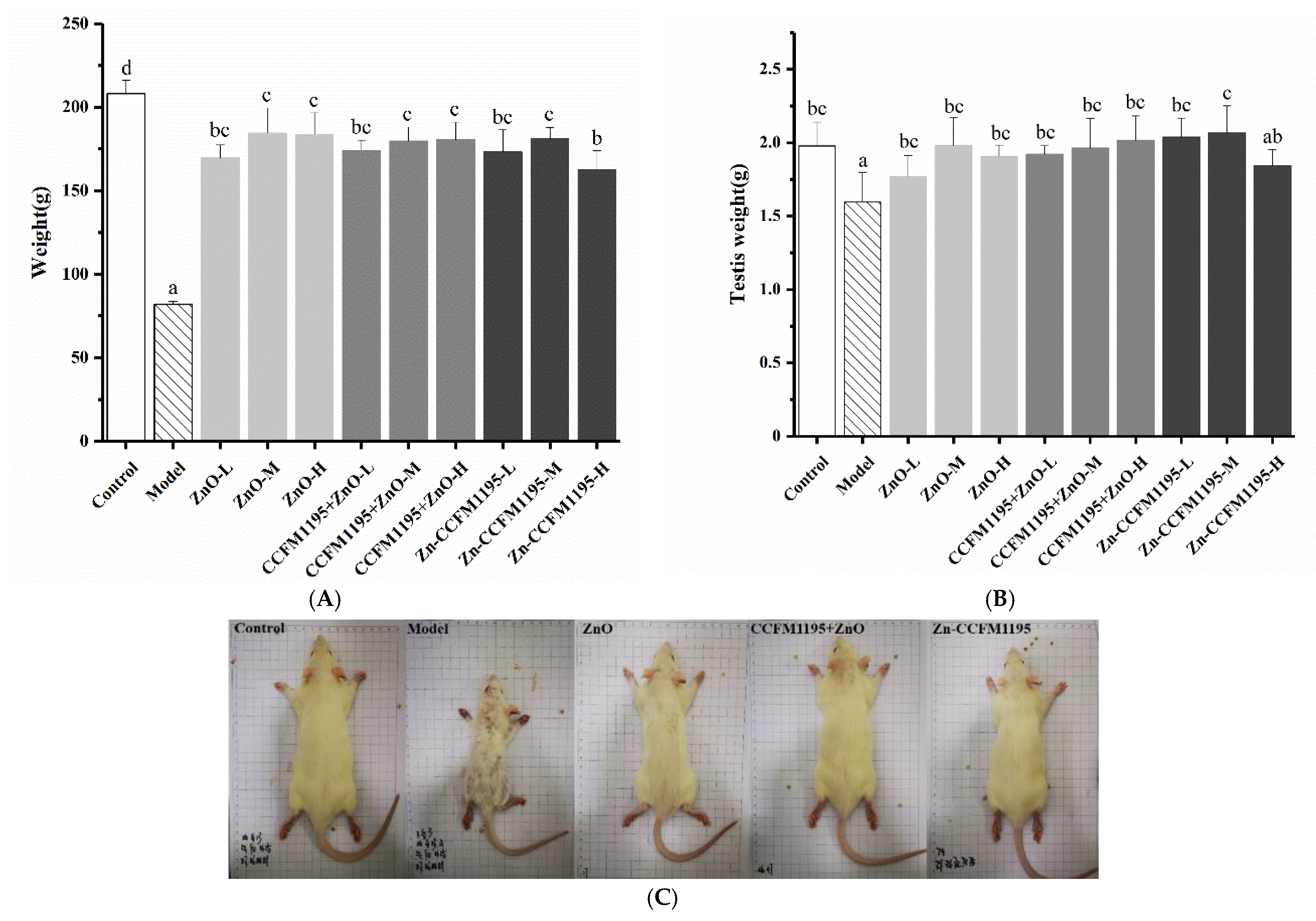 Nutrients 14 00783 g002 Nutrients 14 00783 g002
