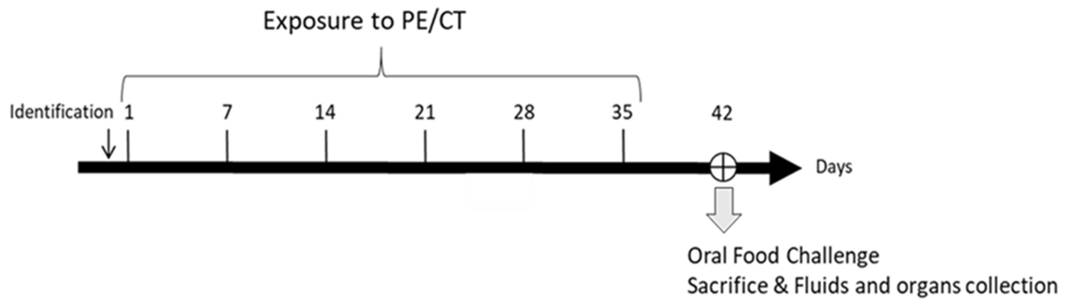 Nutrients 14 00790 g001