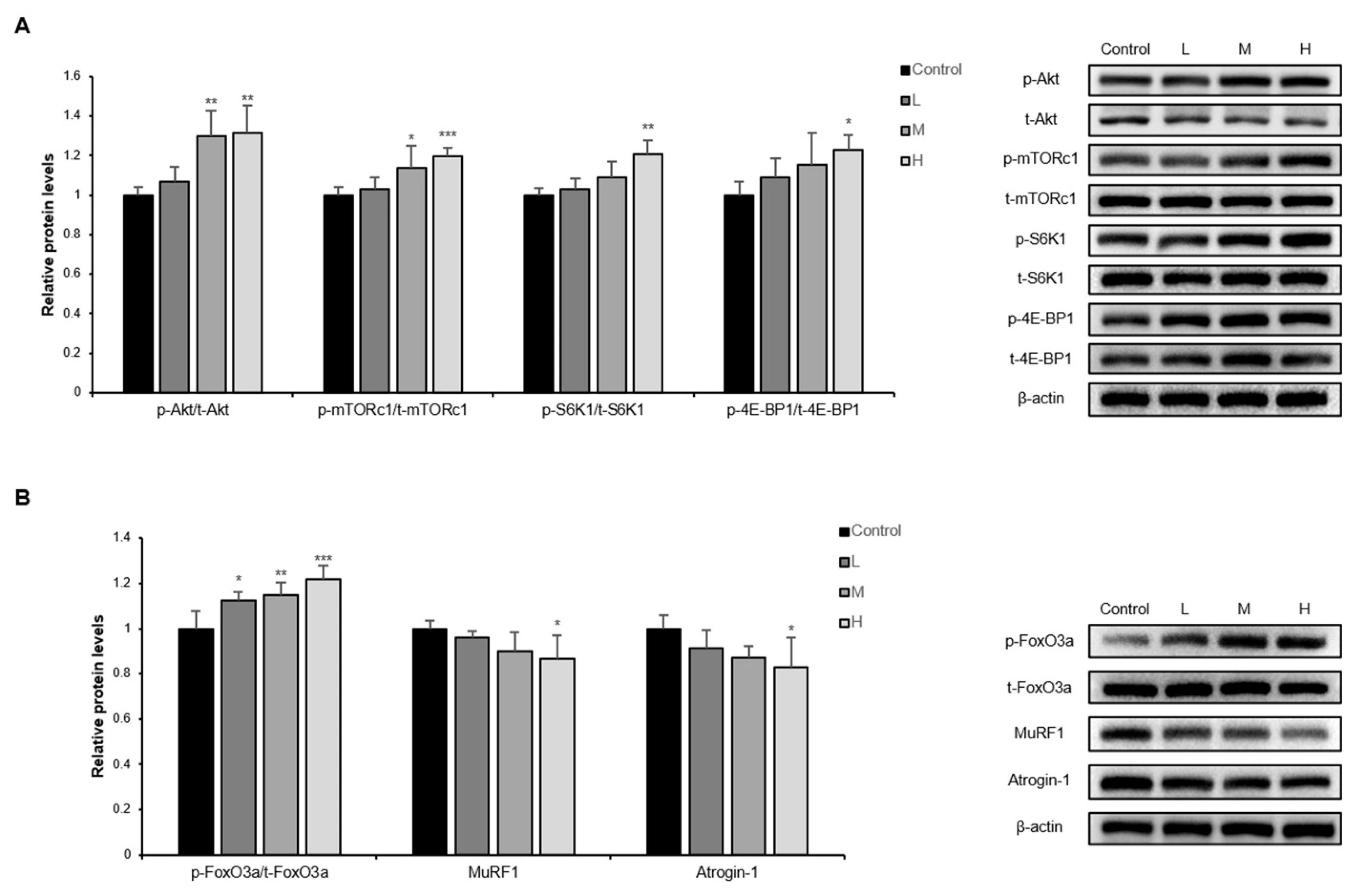 Nutrients 14 00799 g003