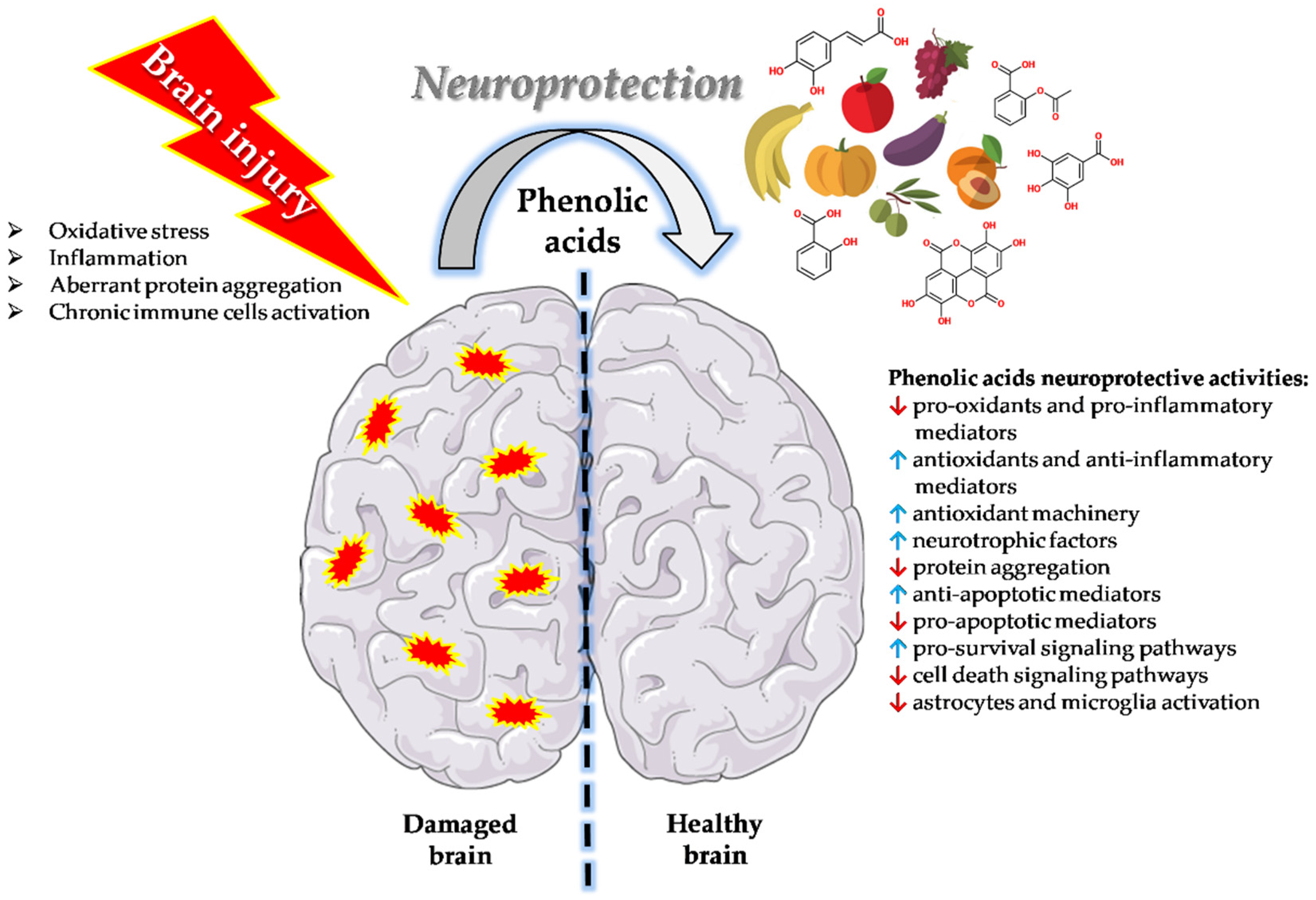 Nutrients 14 00819 g001
