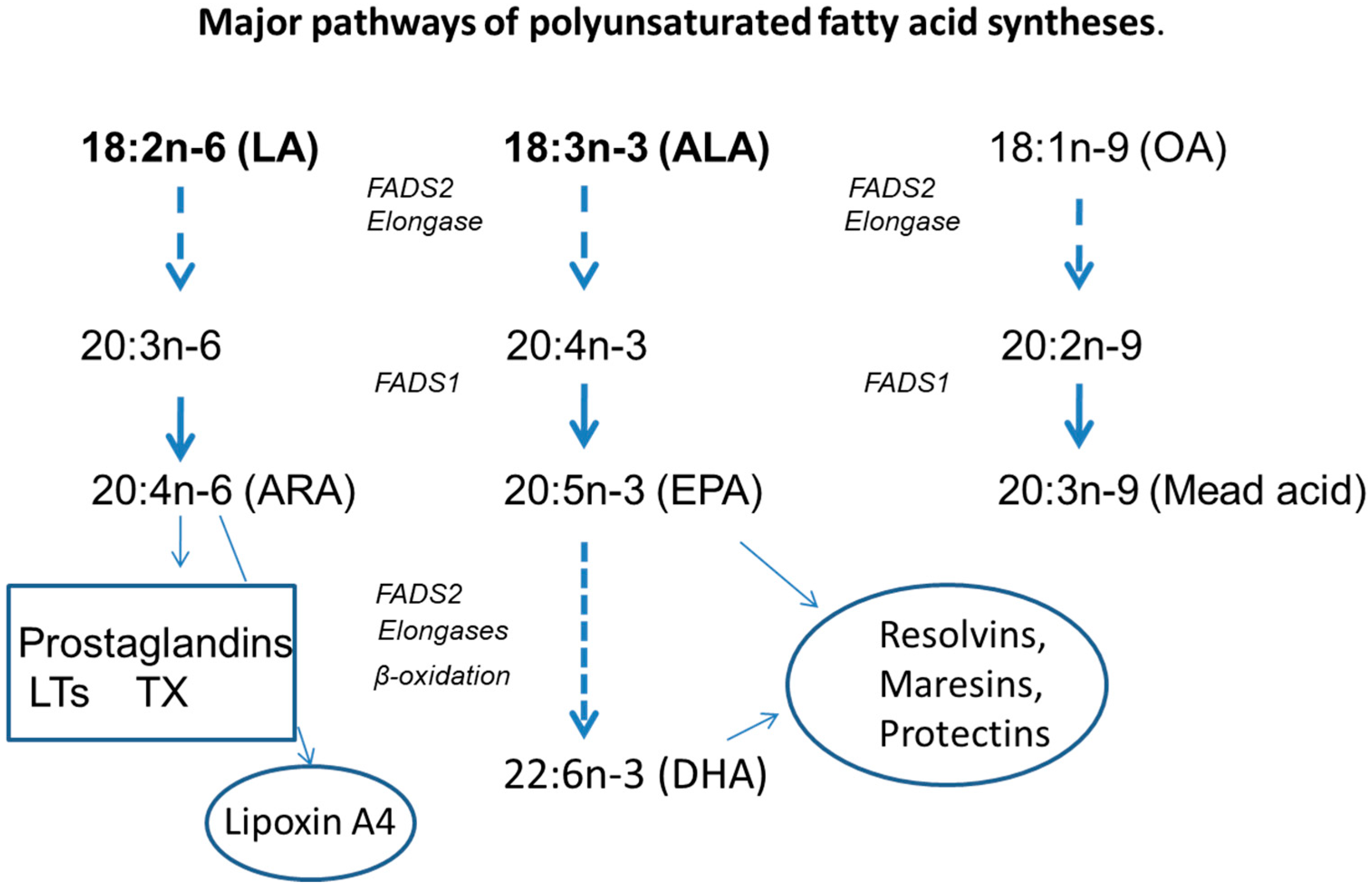 Nutrients 14 00853 g001 Nutrients 14 00853 g001