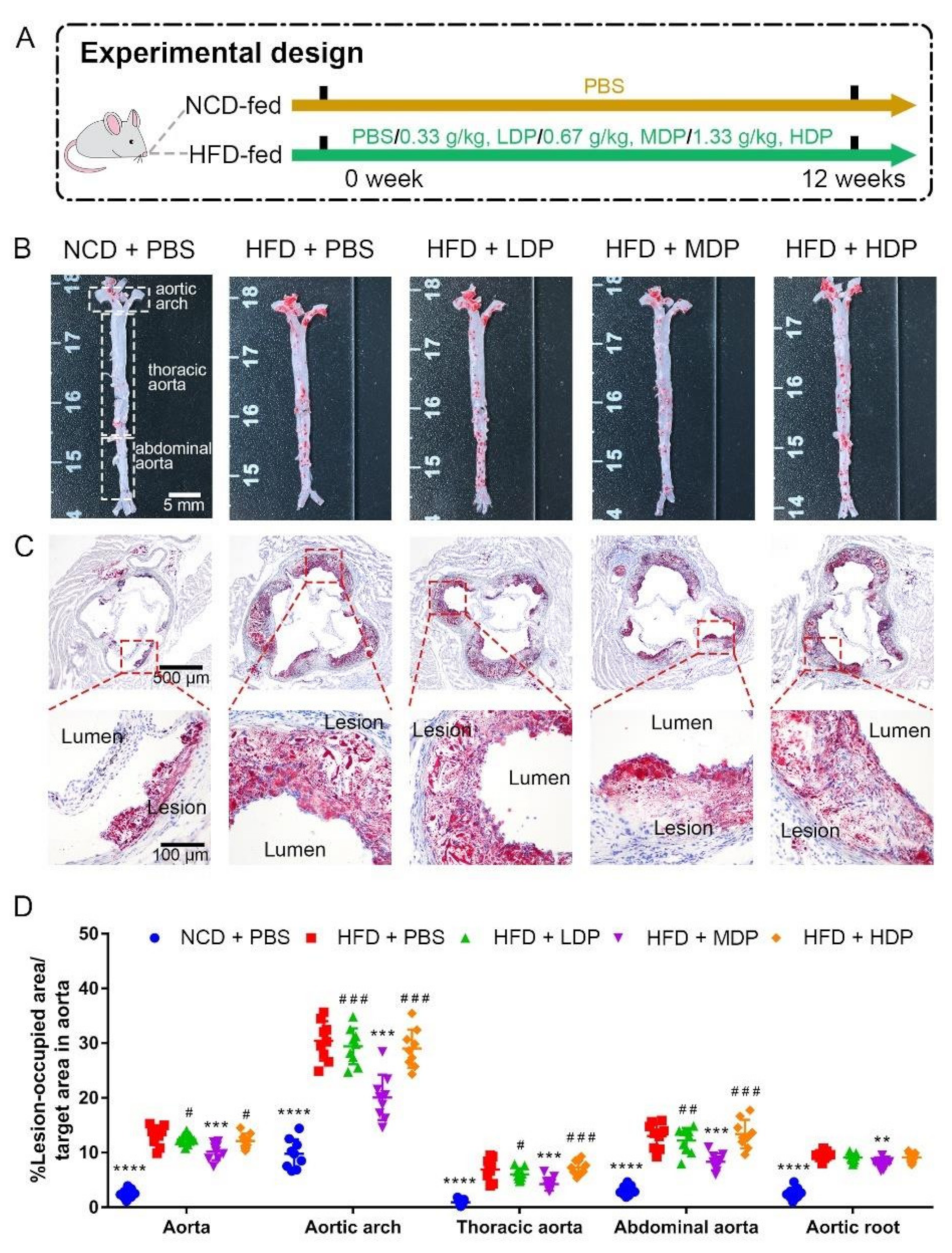 Nutrients 14 00855 g001