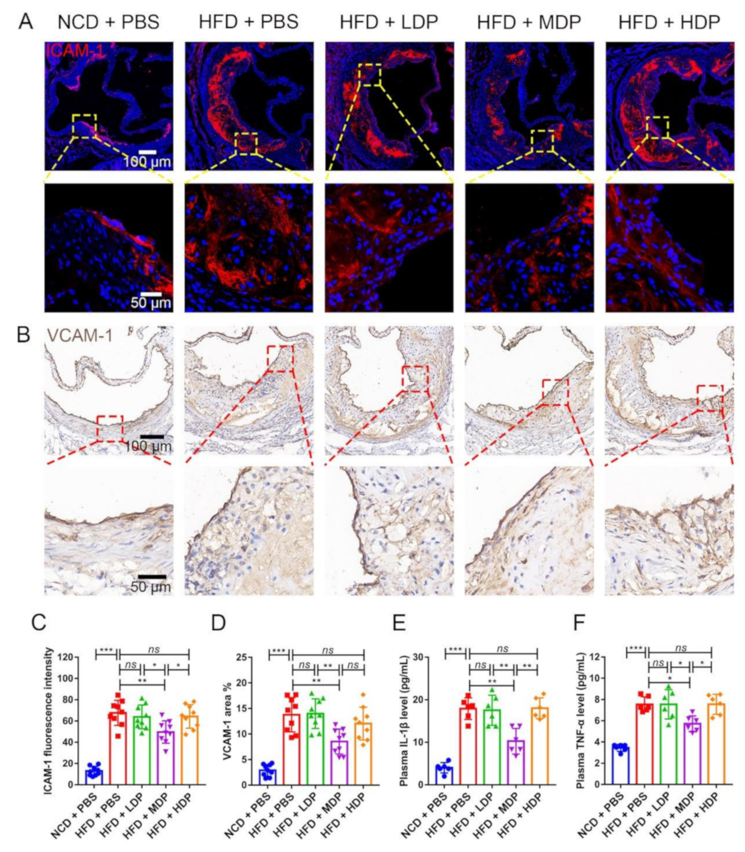 Nutrients 14 00855 g005