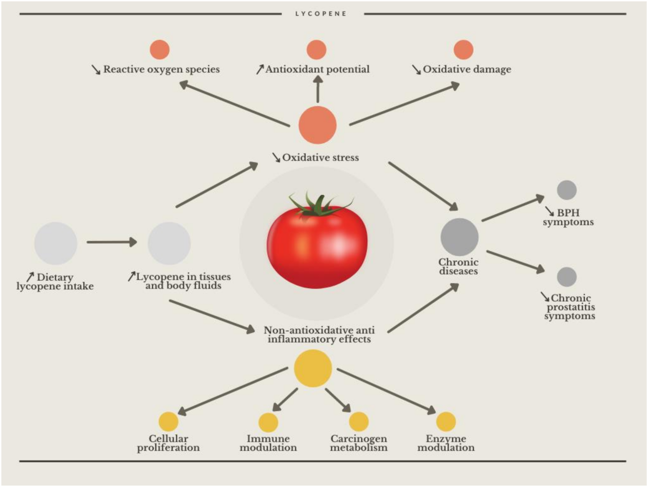 Nutrients 14 00859 g002