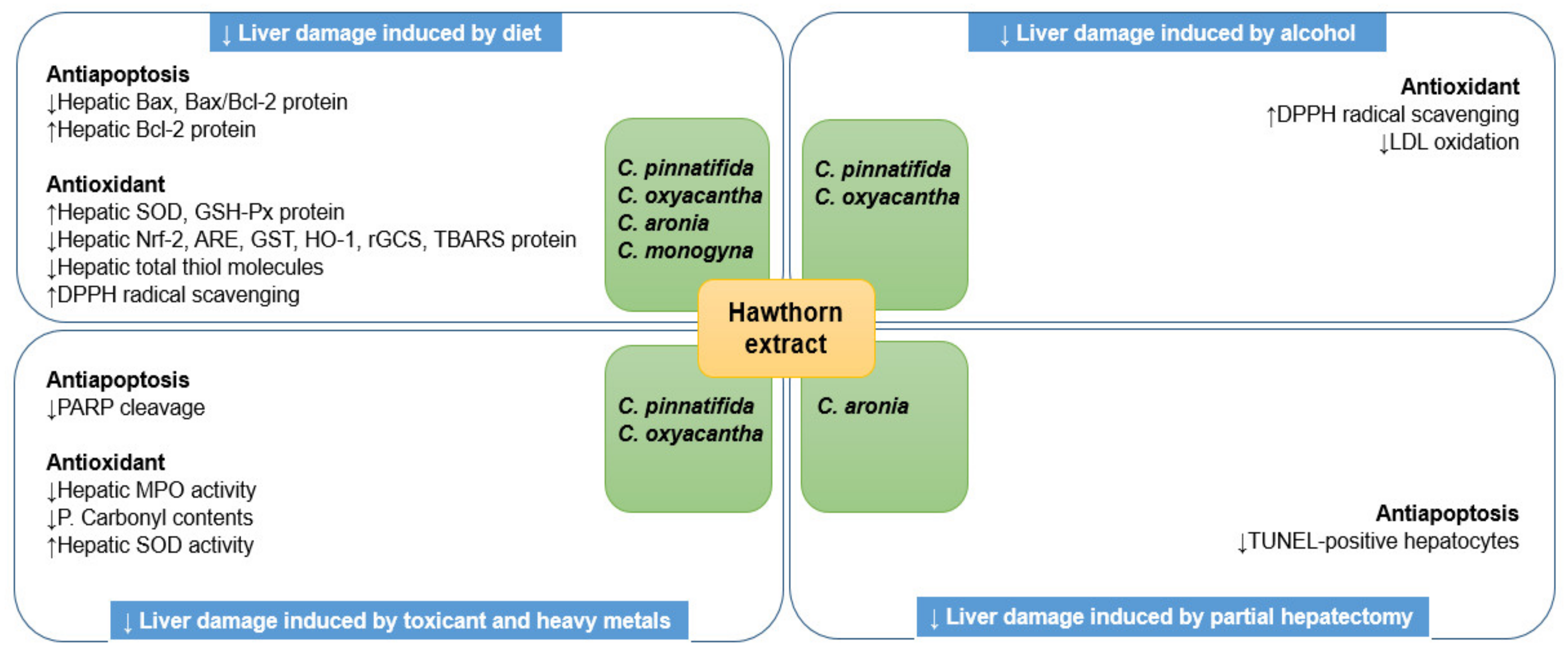 Nutrients 14 00867 g001