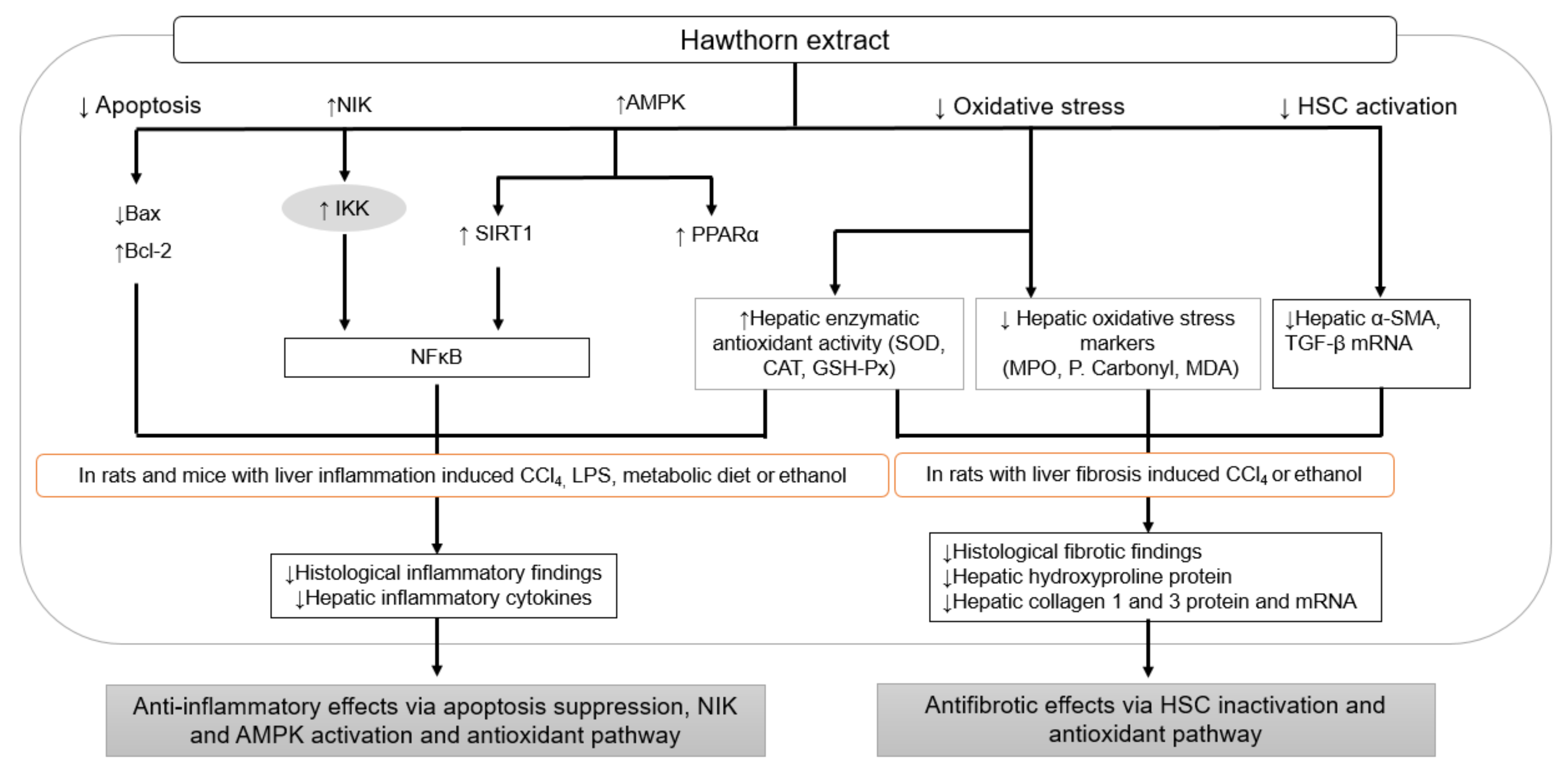Nutrients 14 00867 g003