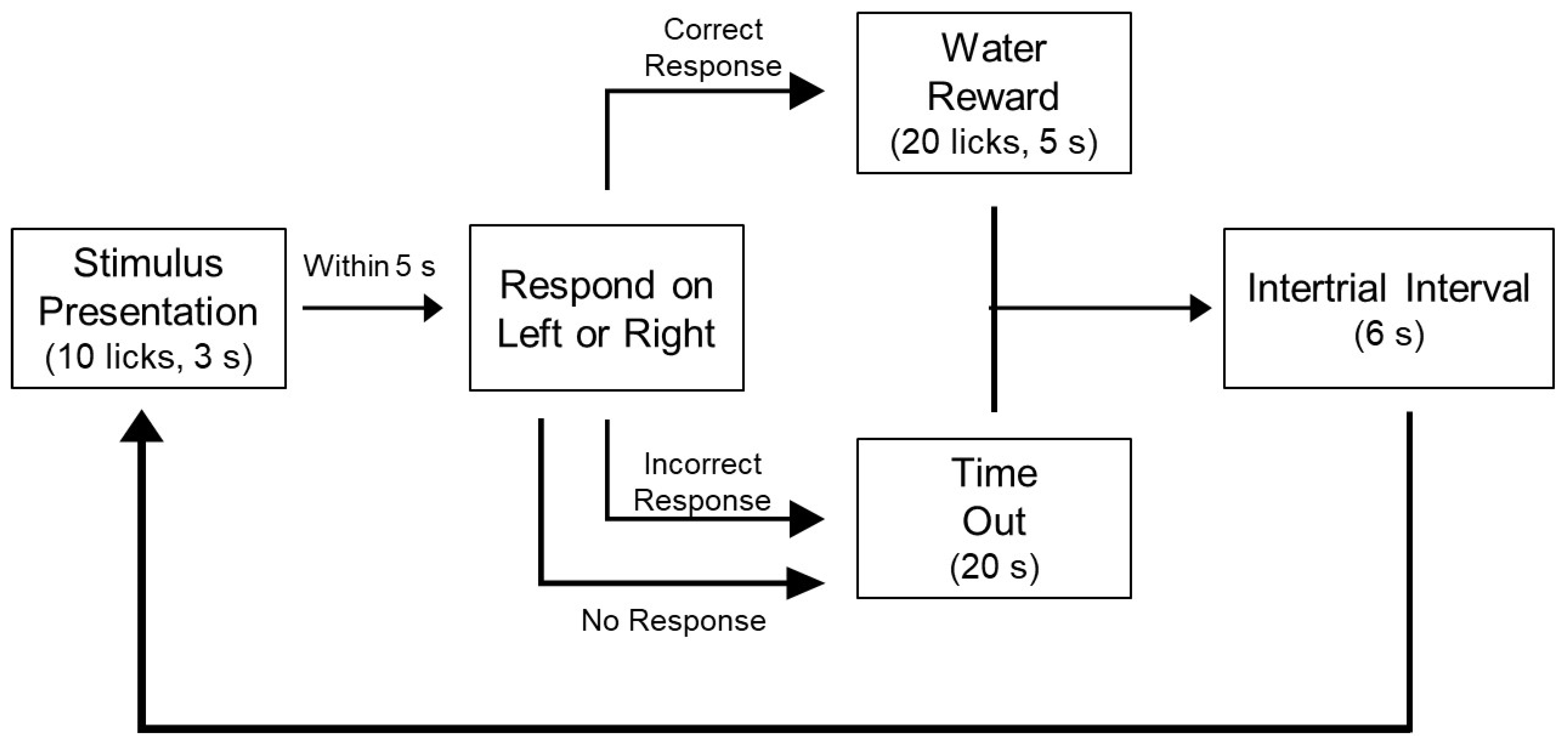 Nutrients 14 00877 g001