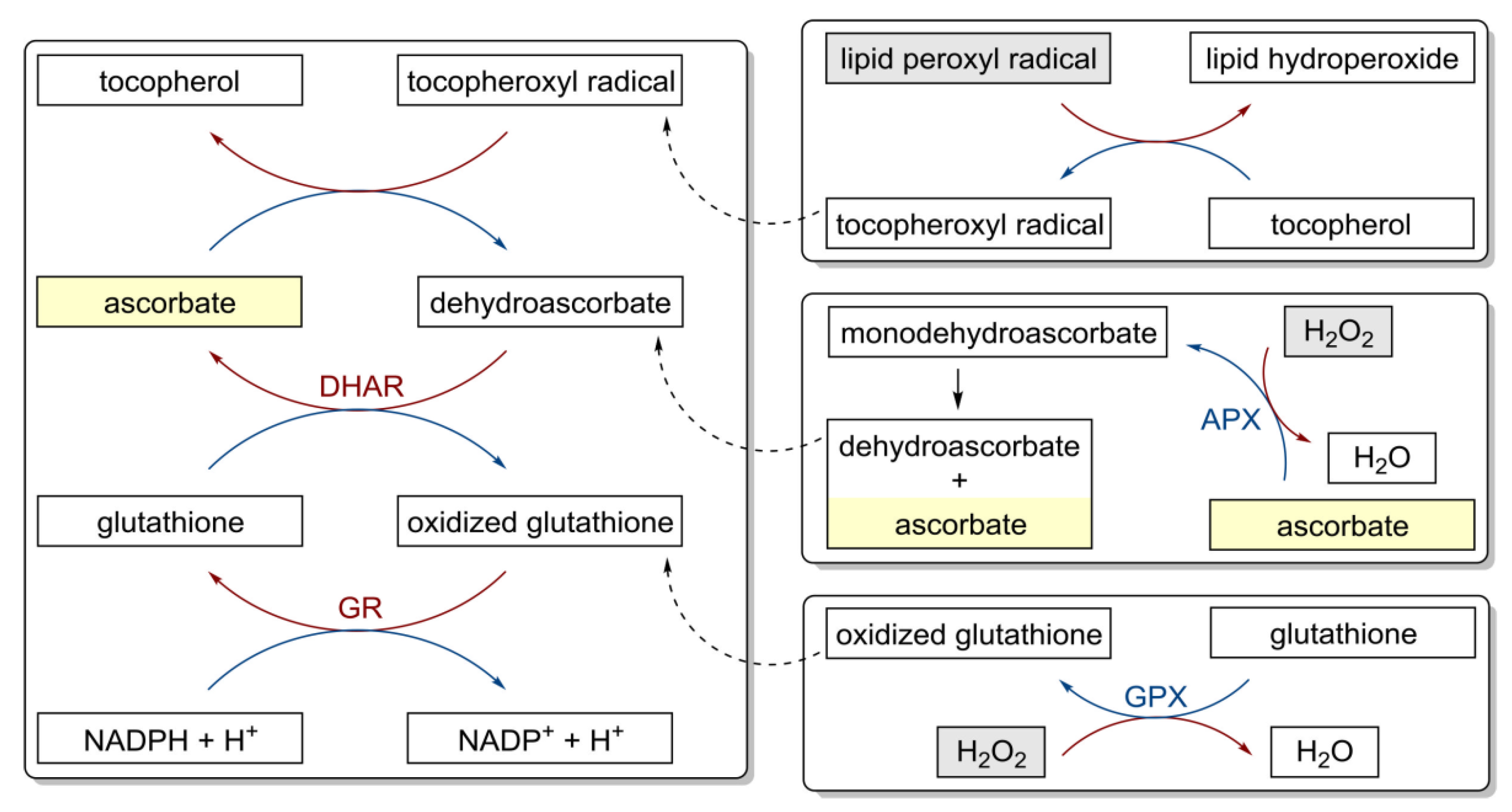 Nutrients 14 00882 g003 Nutrients 14 00882 g003