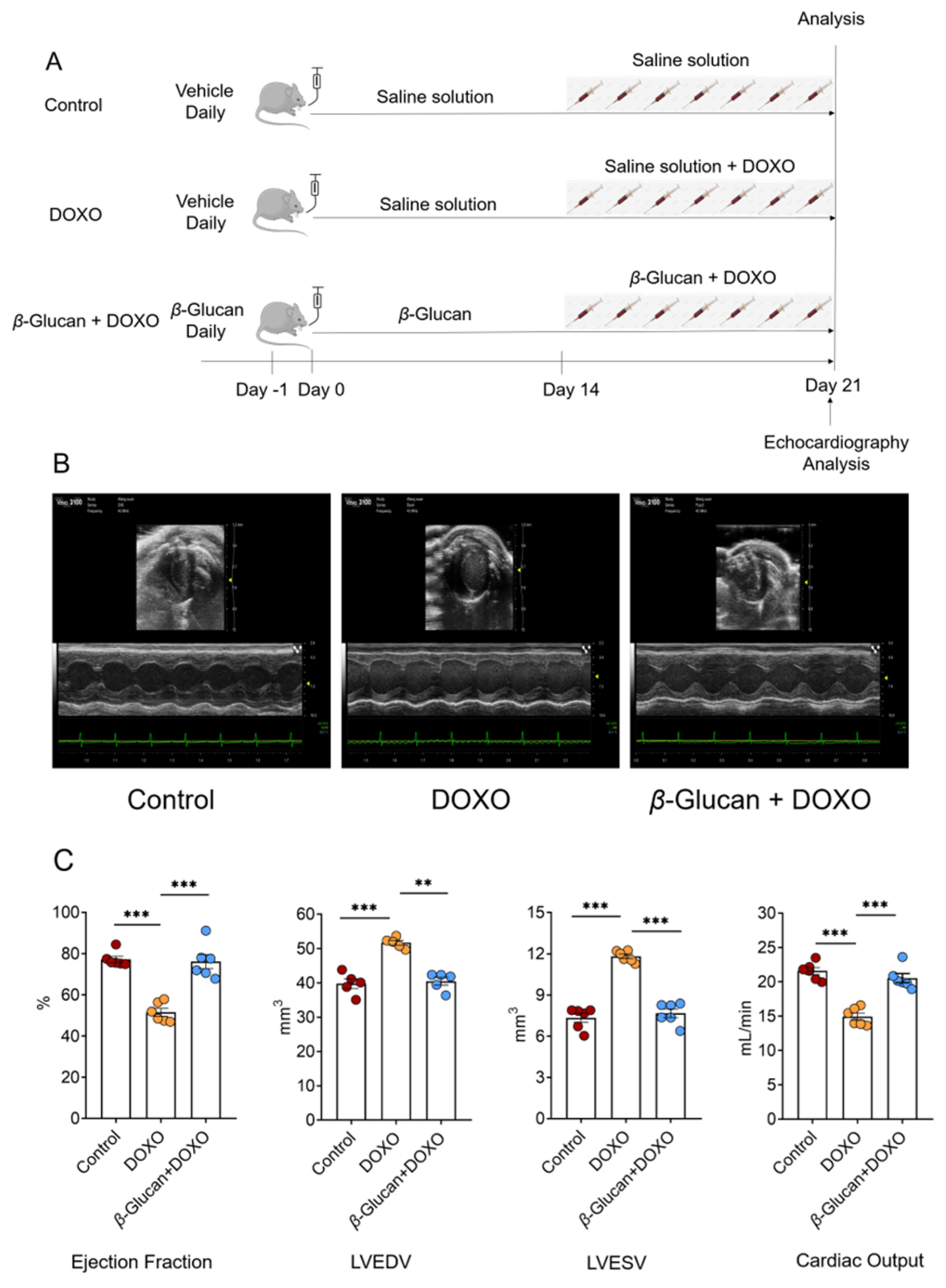 Nutrients 14 00906 g001