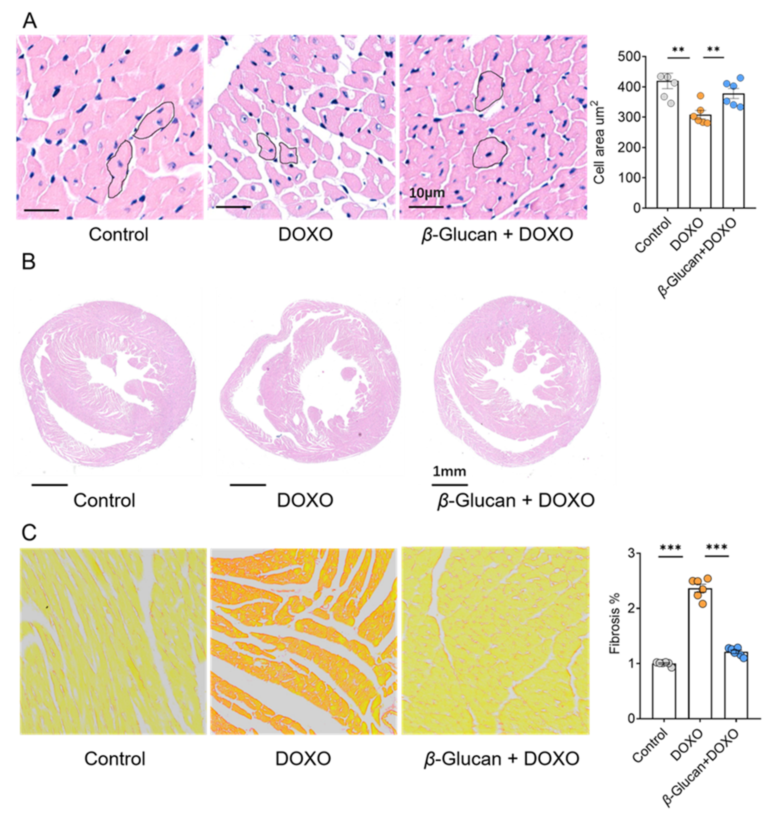 Nutrients 14 00906 g002