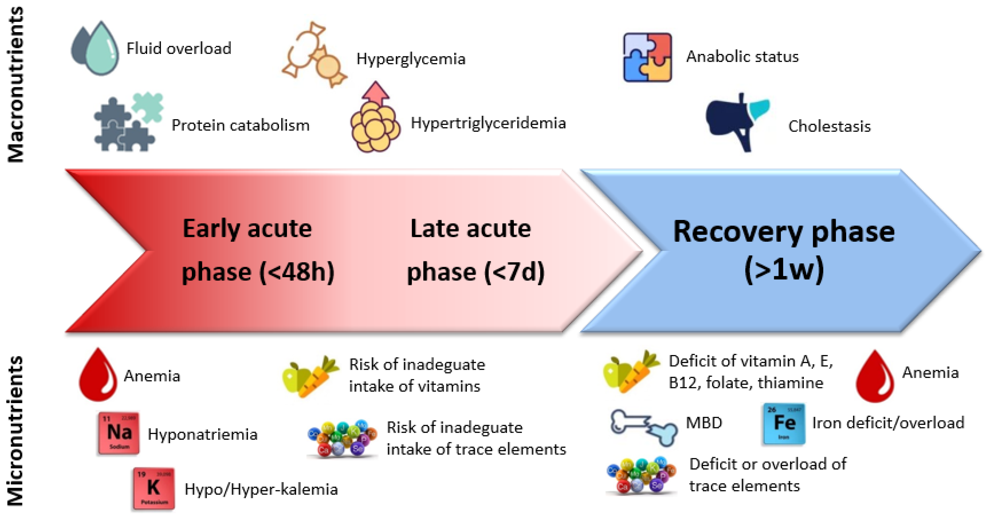 Nutrients 14 00919 g001