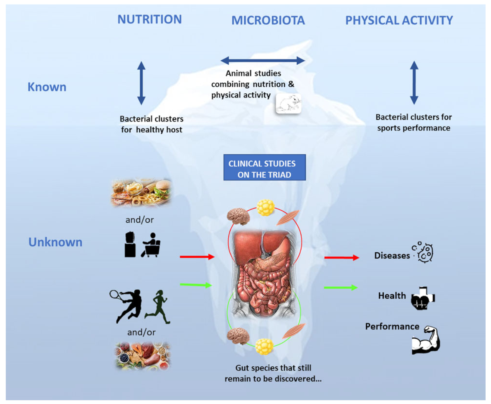 The Nutrition-Microbiota-Physical Activity Triad: An