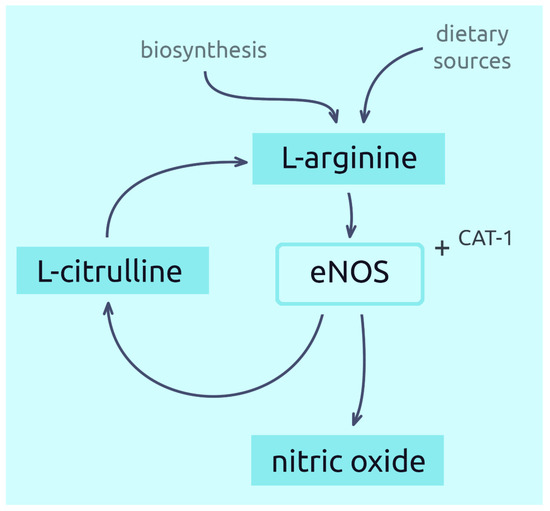 Nutrients 14 00961 g001 550