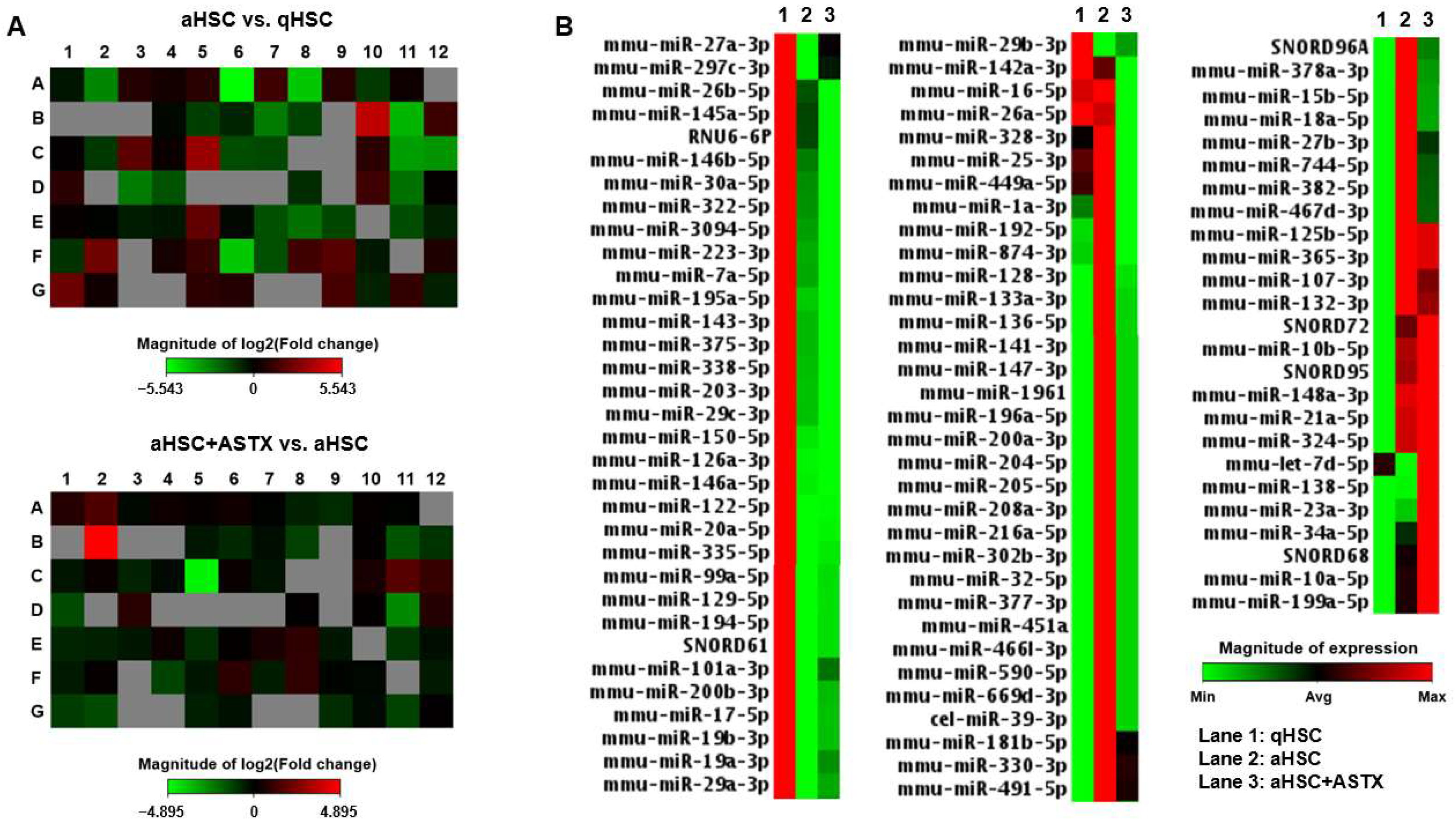 Nutrients 14 00962 g001 Nutrients 14 00962 g001