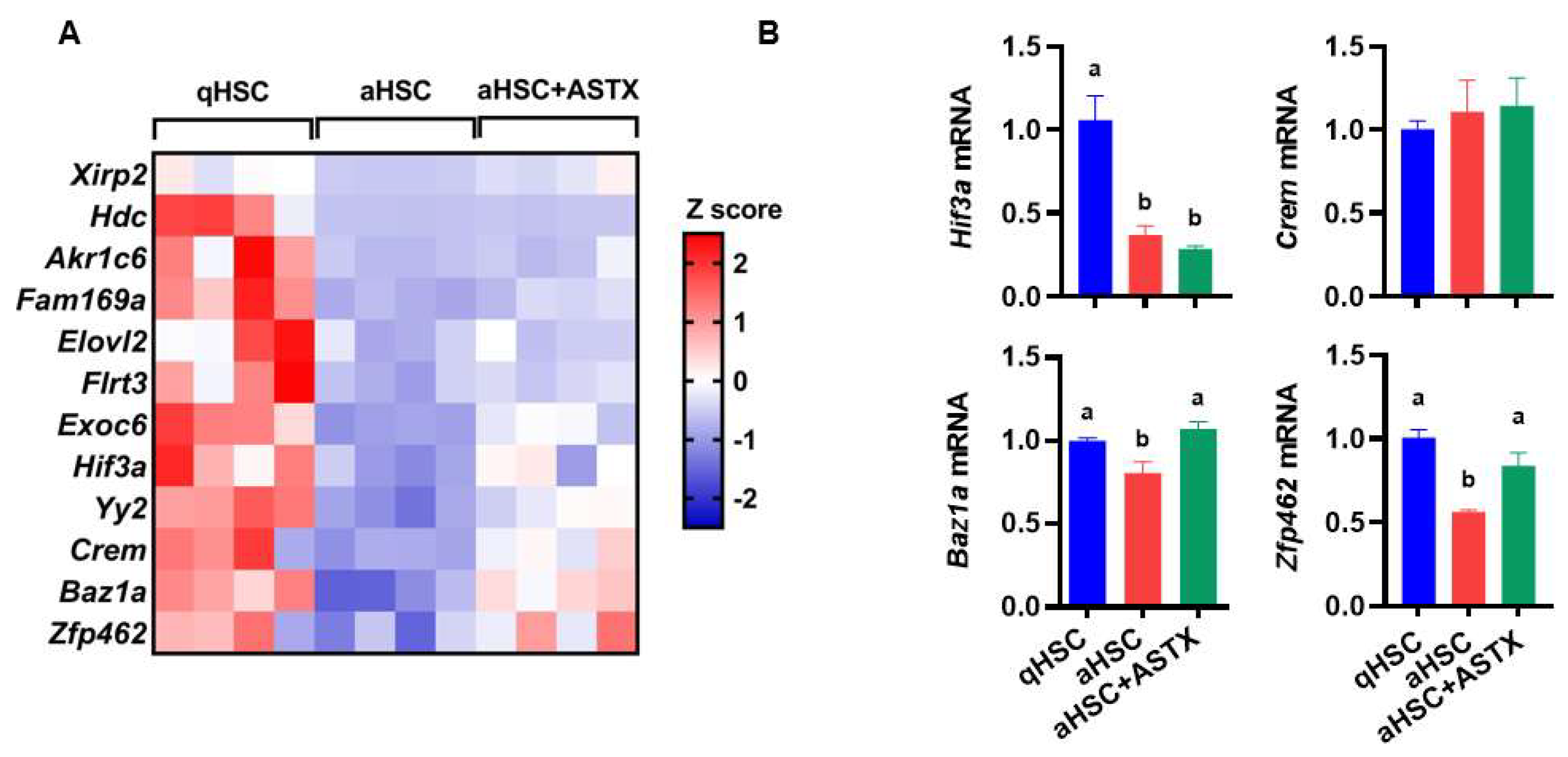 Nutrients 14 00962 g004 Nutrients 14 00962 g004
