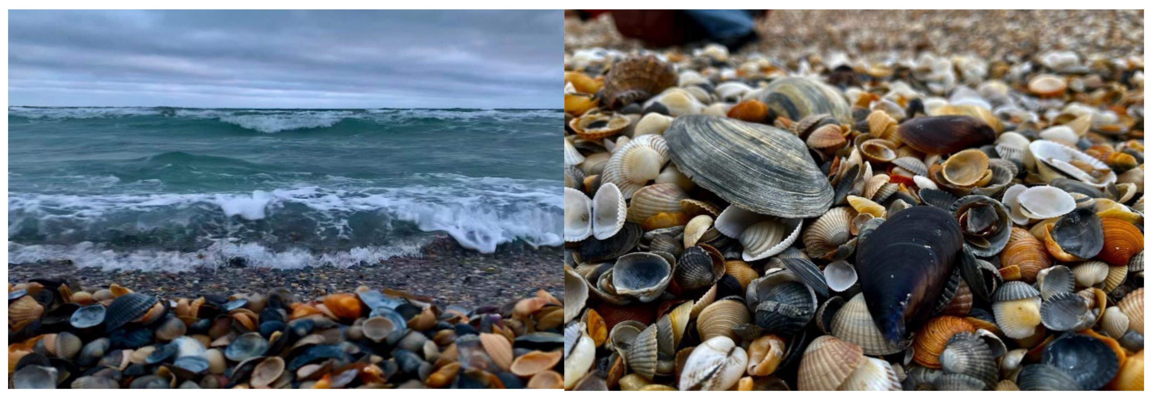 Nutrients 14 00964 g001 550