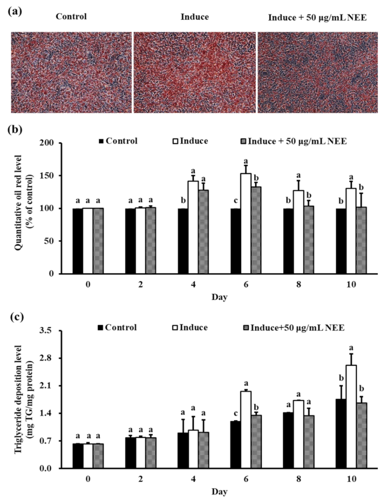Nutrients 14 00968 g003