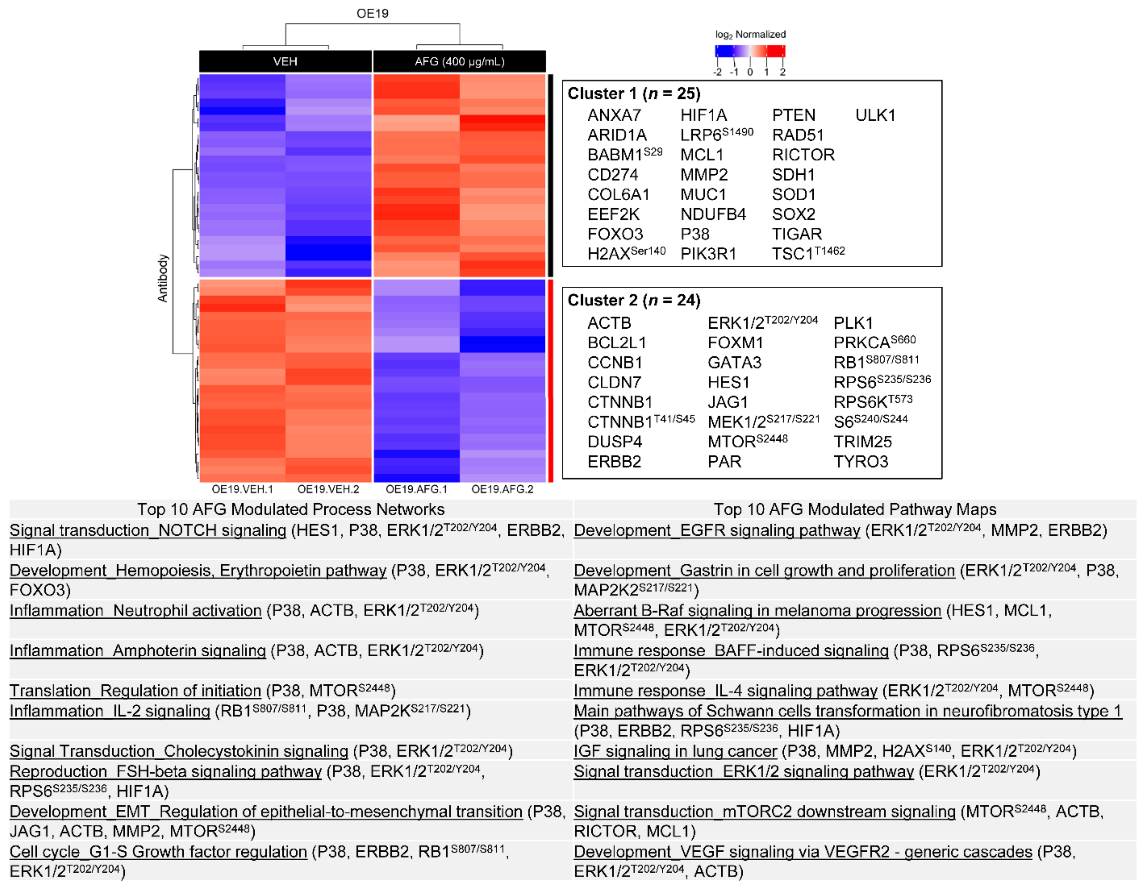 Nutrients 14 00969 g007 Nutrients 14 00969 g007