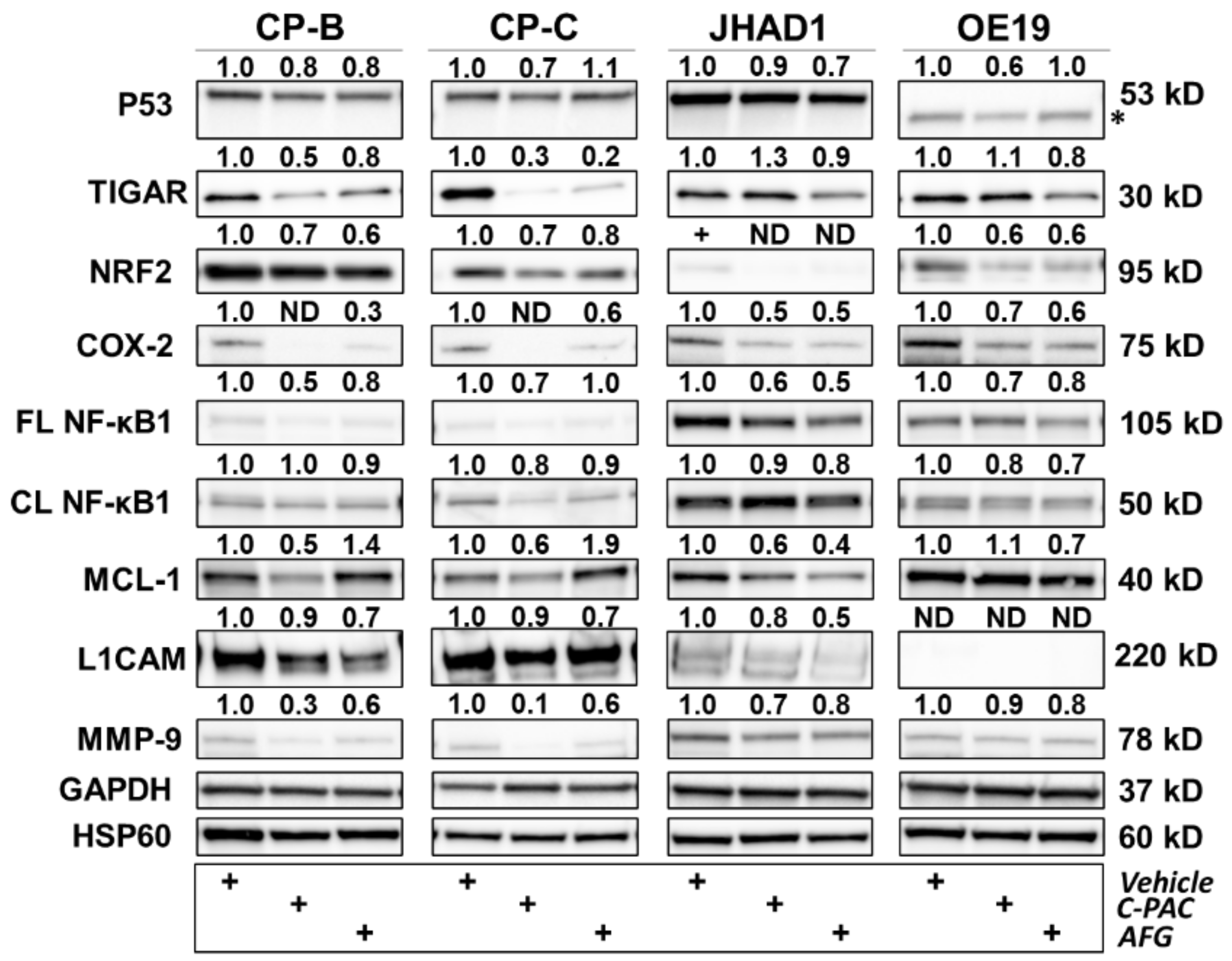 Nutrients 14 00969 g008 Nutrients 14 00969 g008
