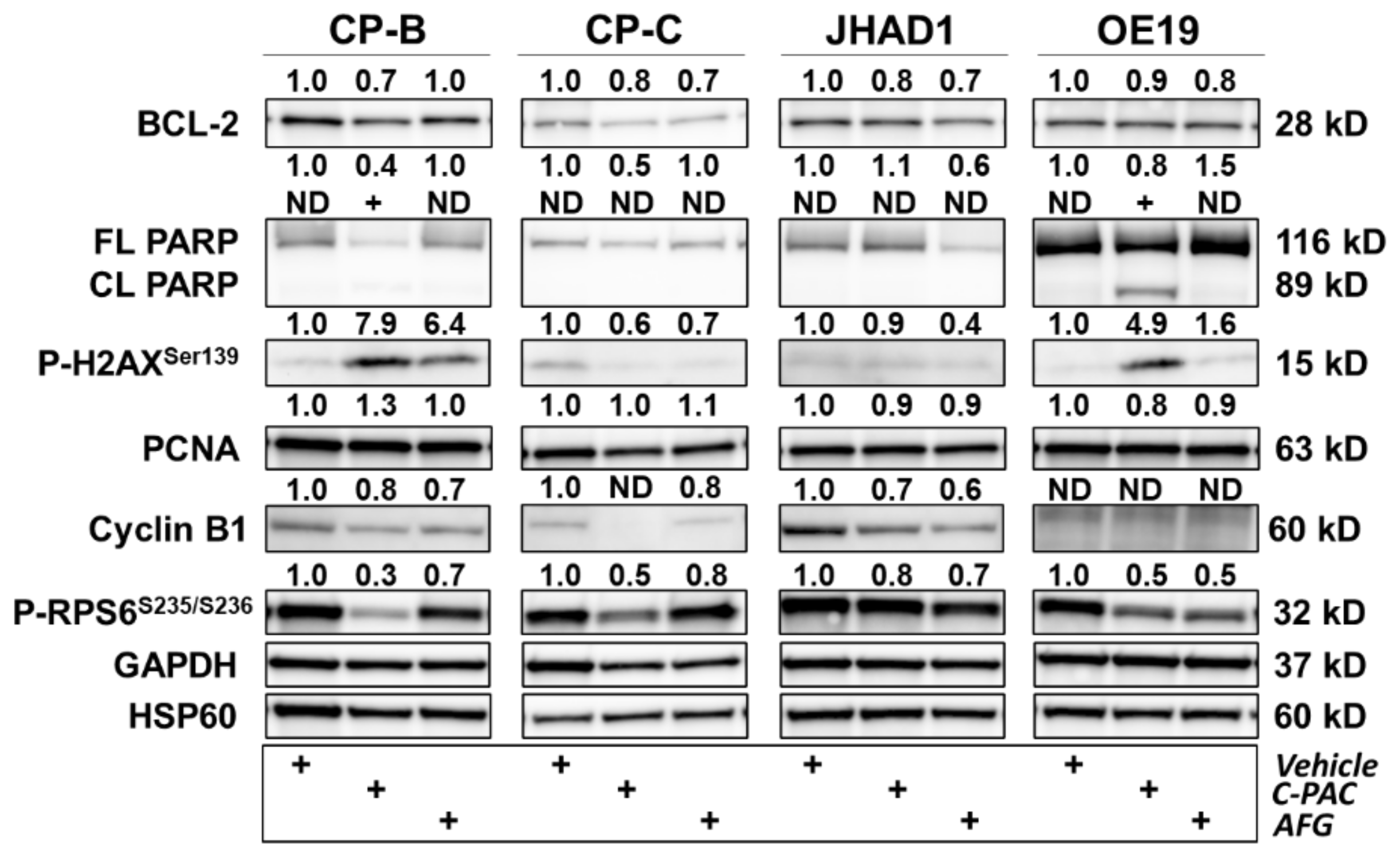 Nutrients 14 00969 g009 Nutrients 14 00969 g009