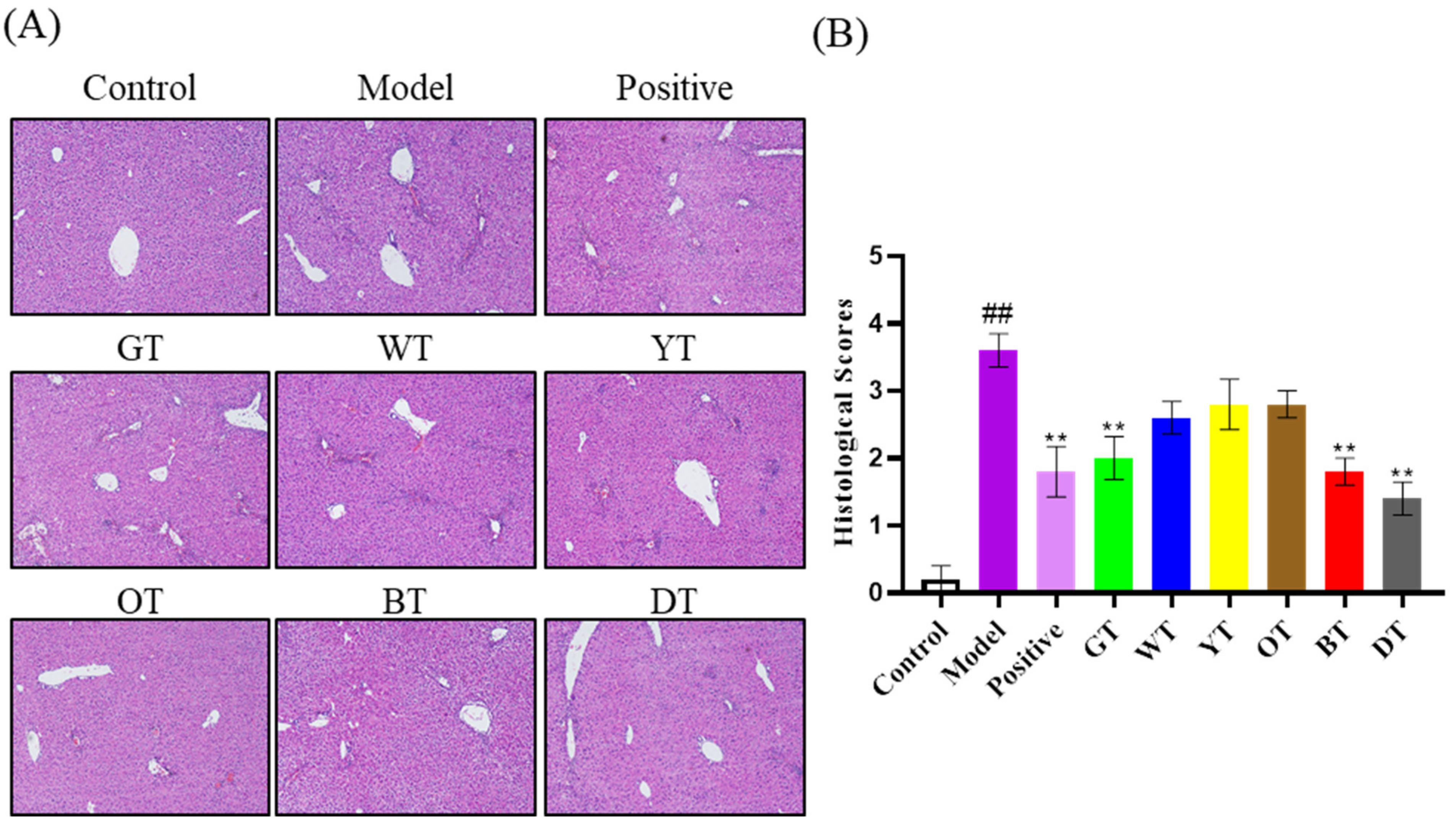 Nutrients 14 00972 g004