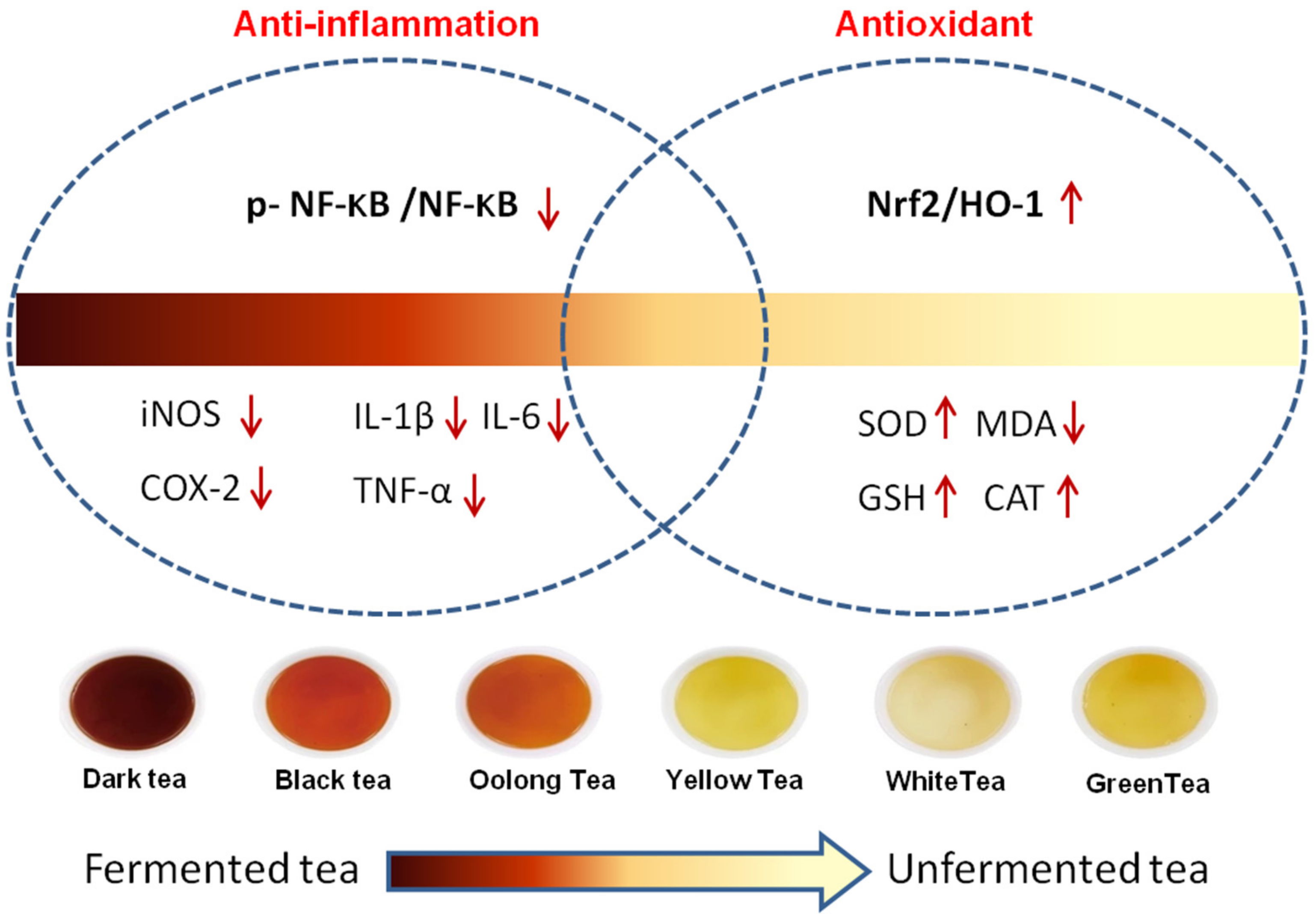 Nutrients 14 00972 g009