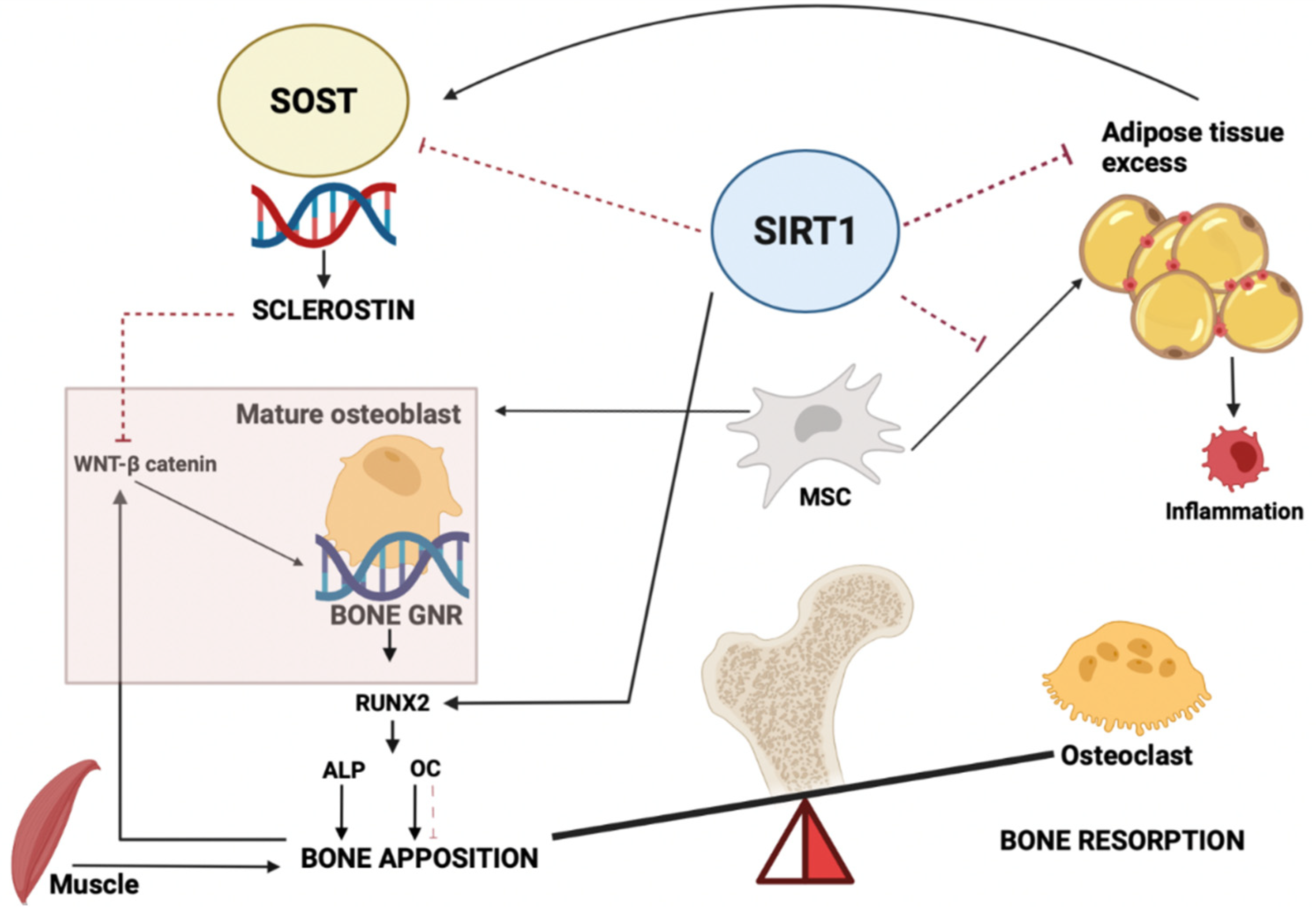 Nutrients 14 00983 g003