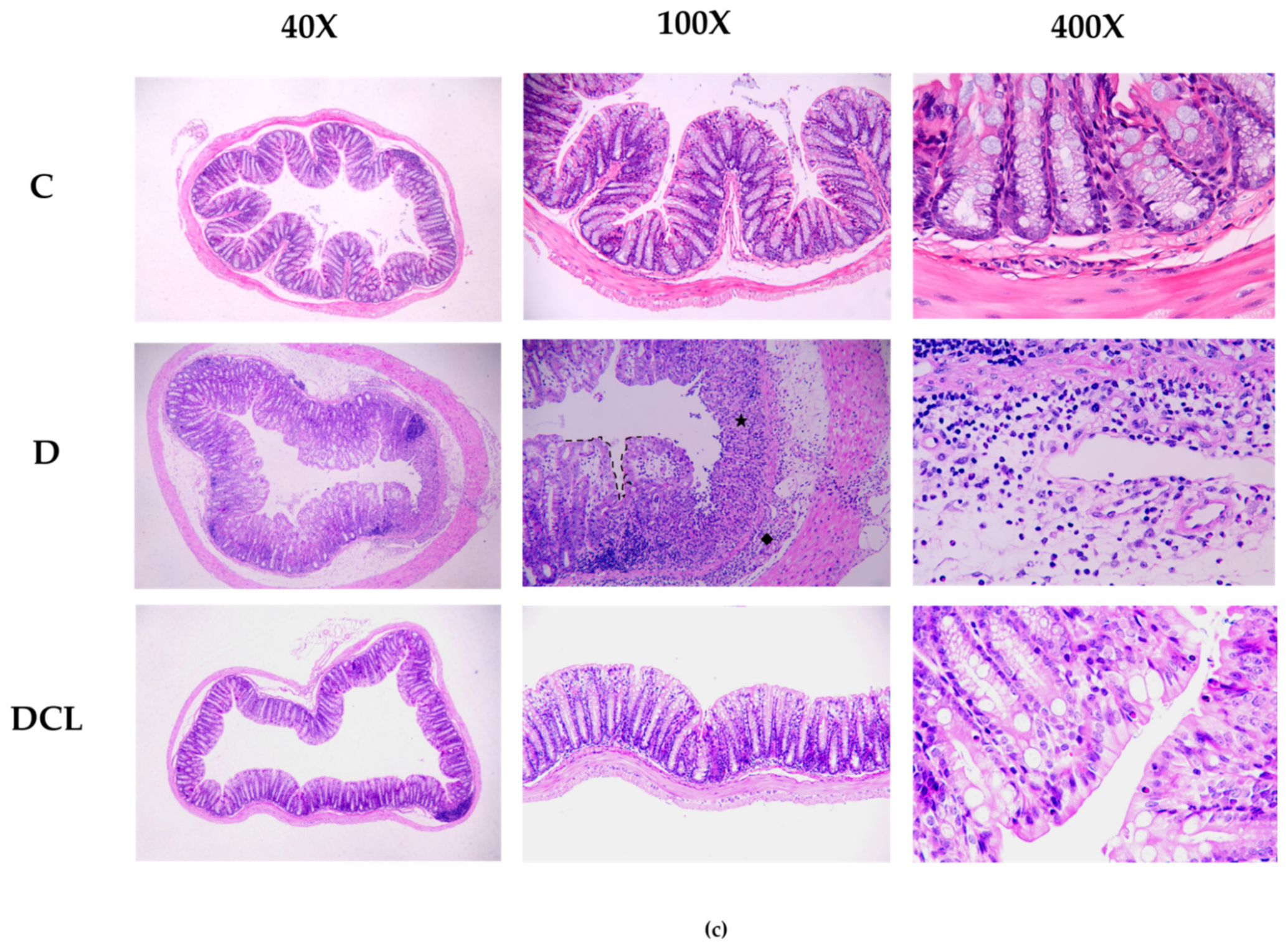 Nutrients 14 00984 g002b 550