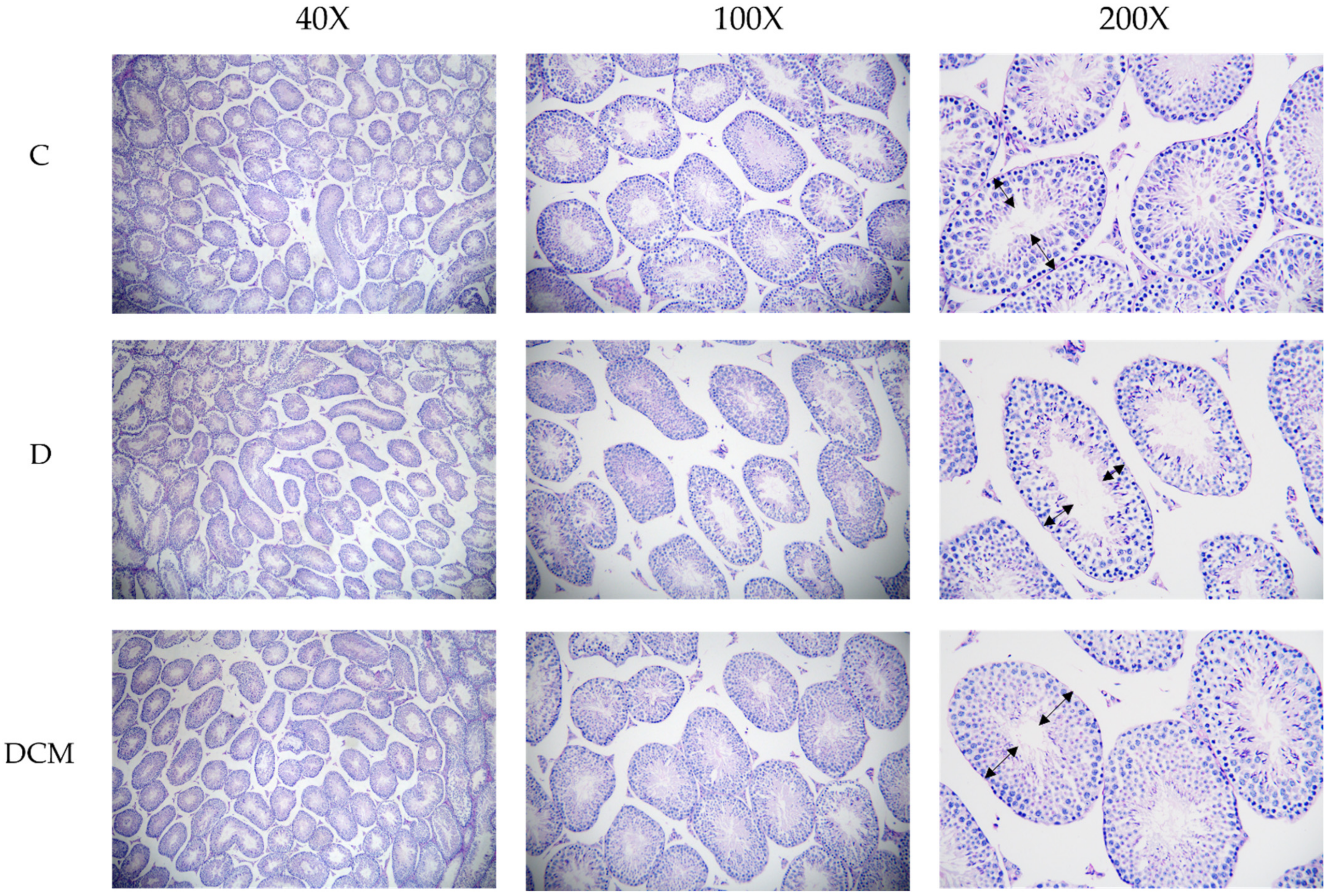 Nutrients 14 00984 g005 550