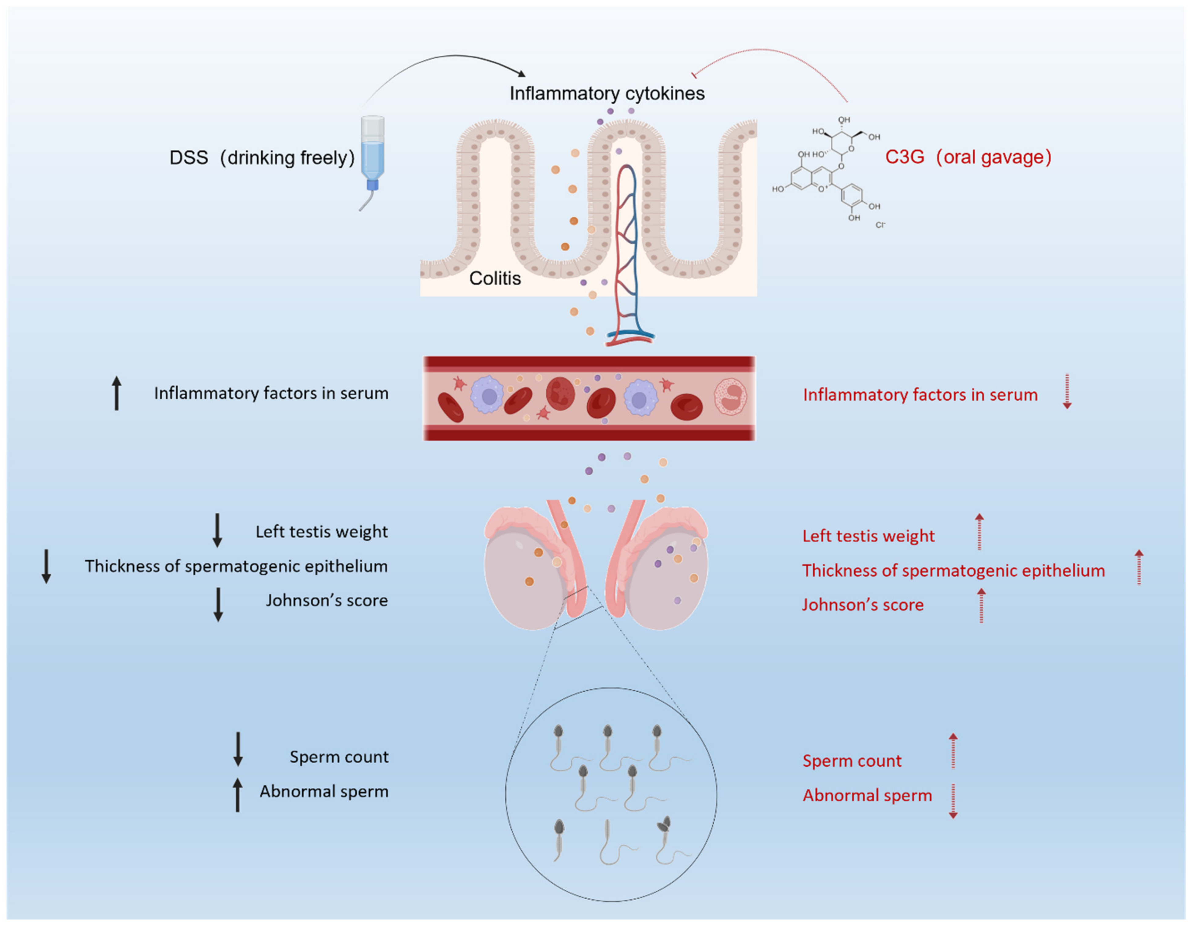 Nutrients 14 00984 g008 550
