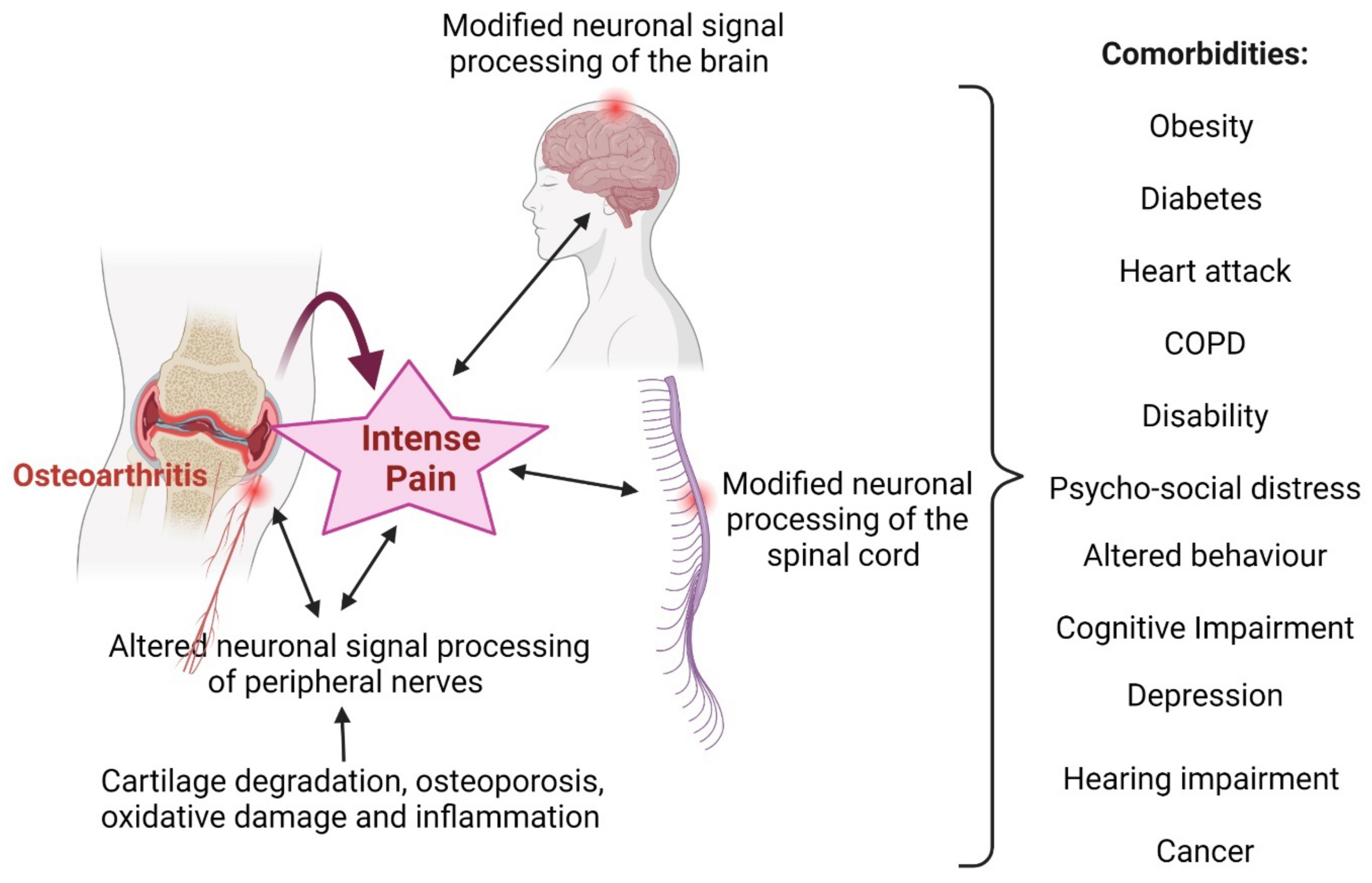 Nutrients 14 00985 g002 Nutrients 14 00985 g002