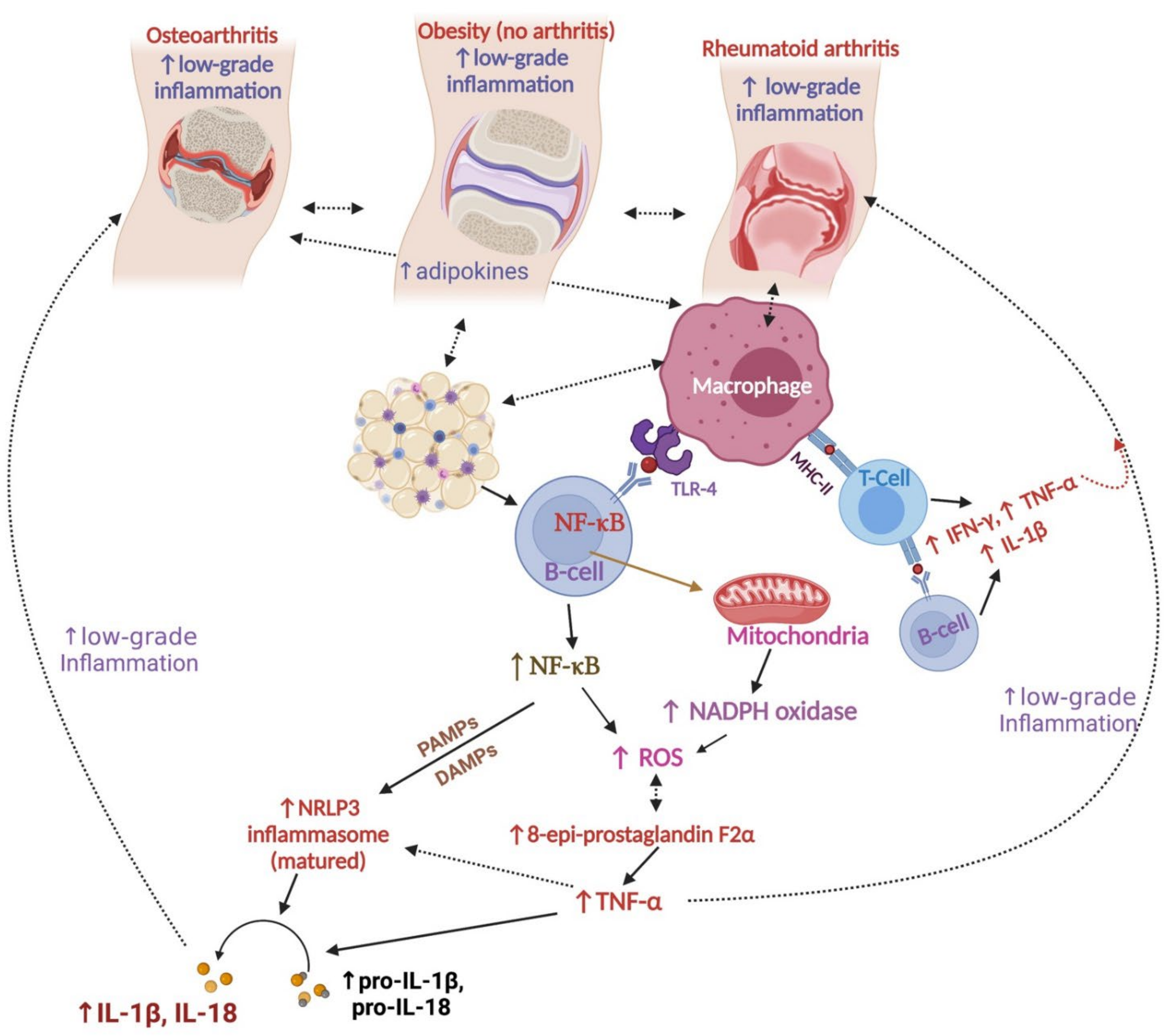 Nutrients 14 00985 g004 Nutrients 14 00985 g004