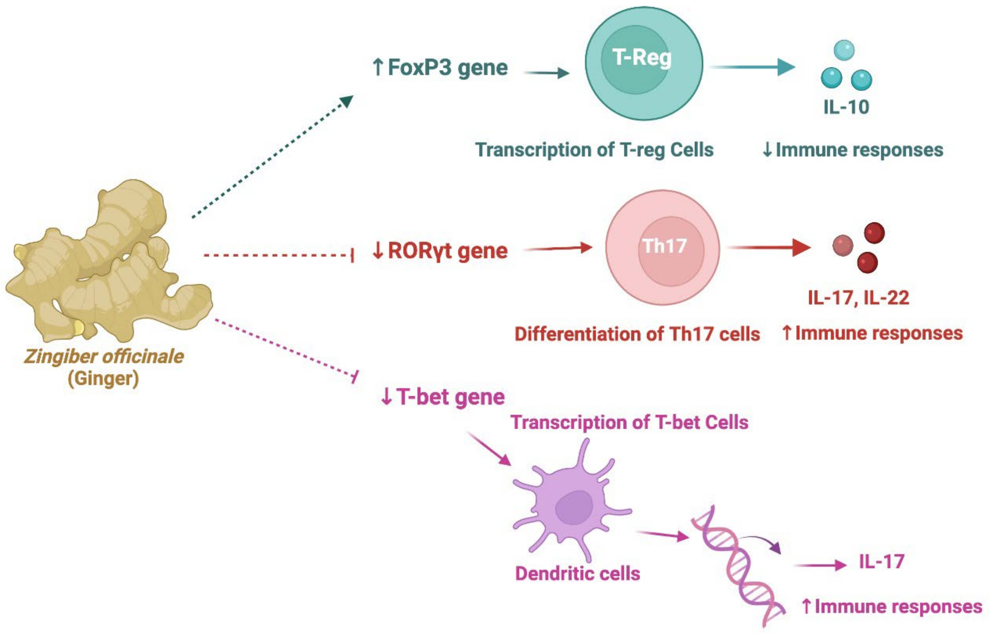 Nutrients 14 00985 g006 Nutrients 14 00985 g006