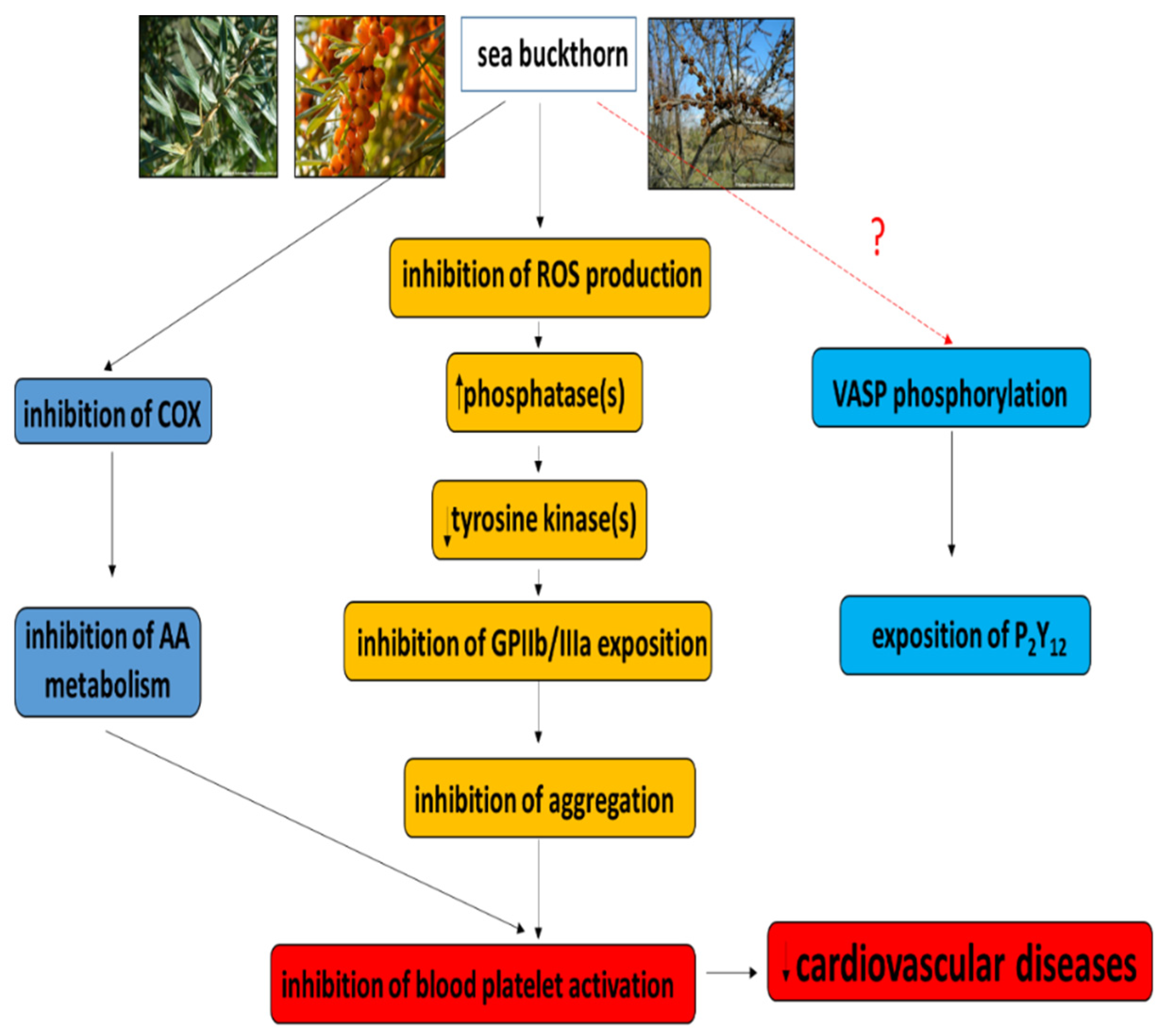 Nutrients 14 00991 g001 Nutrients 14 00991 g001