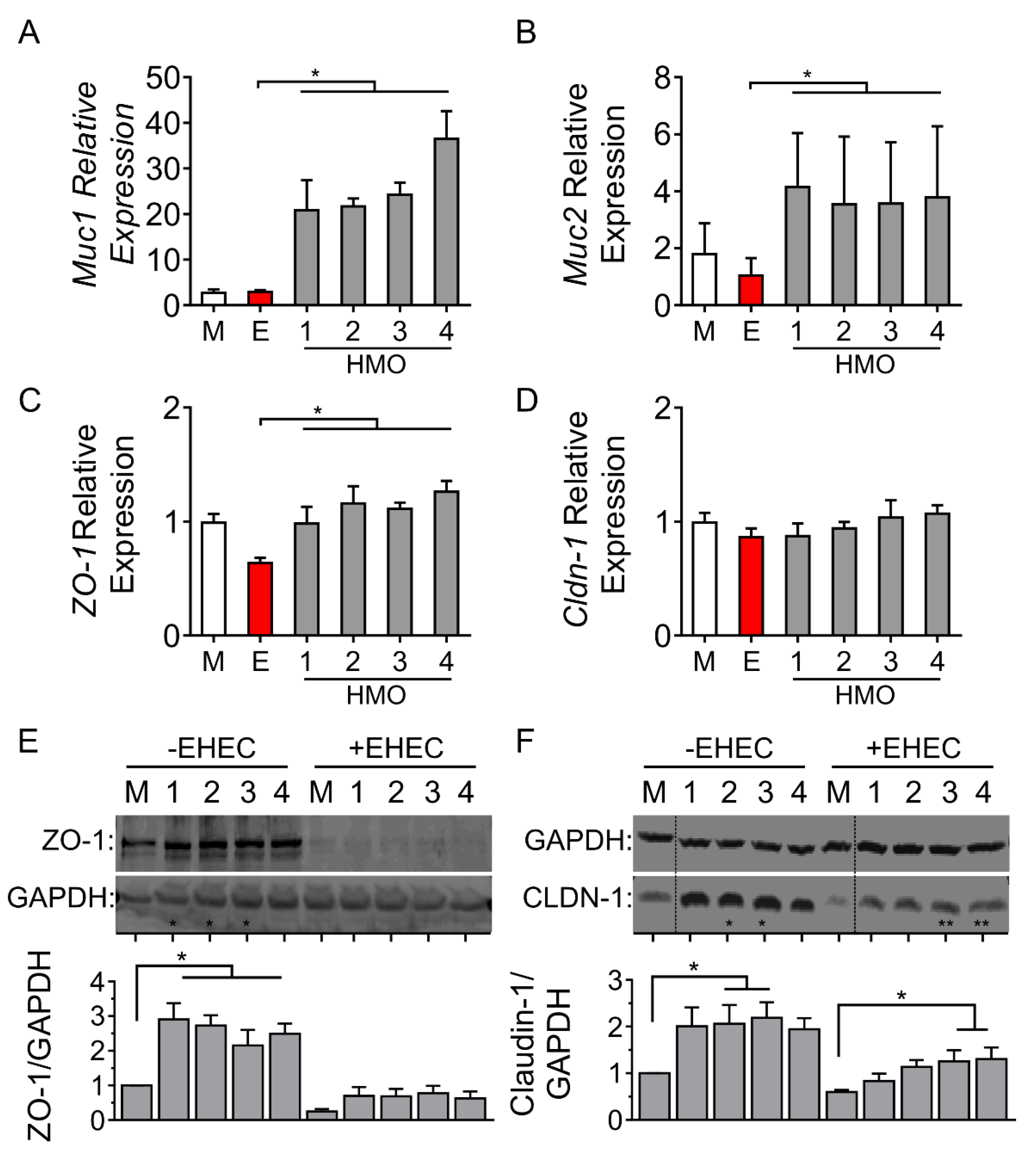 Nutrients 14 01014 g003 Nutrients 14 01014 g003