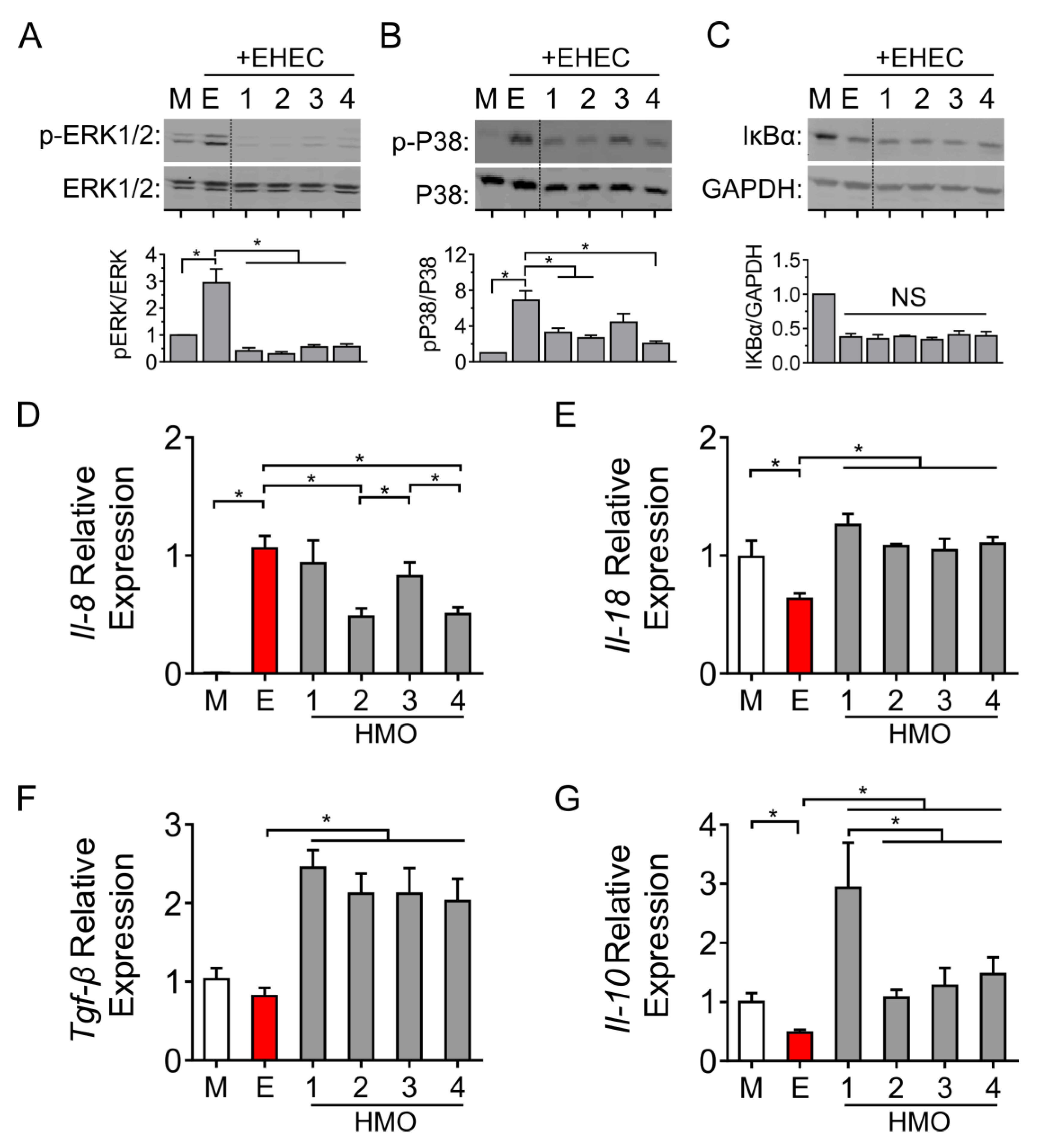 Nutrients 14 01014 g004 Nutrients 14 01014 g004